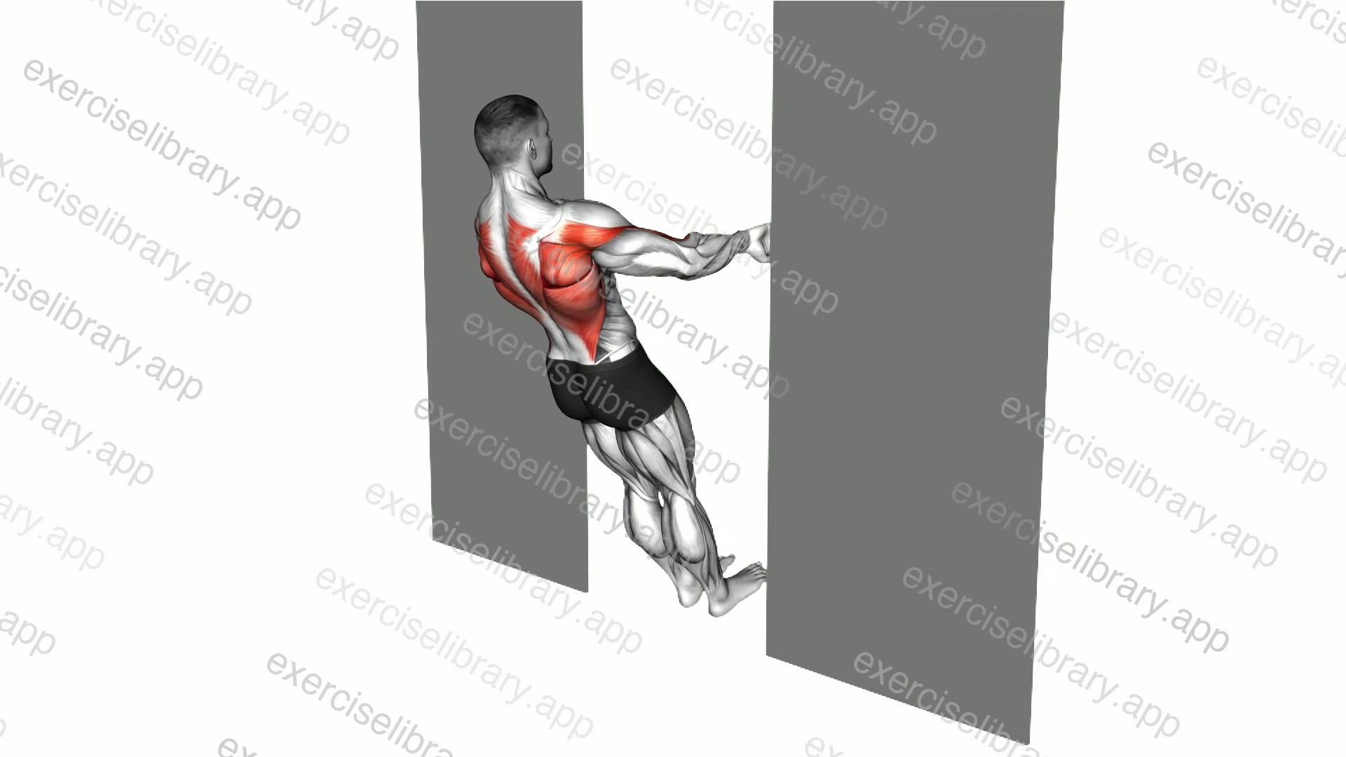 Bodyweight Row in Doorway demonstration