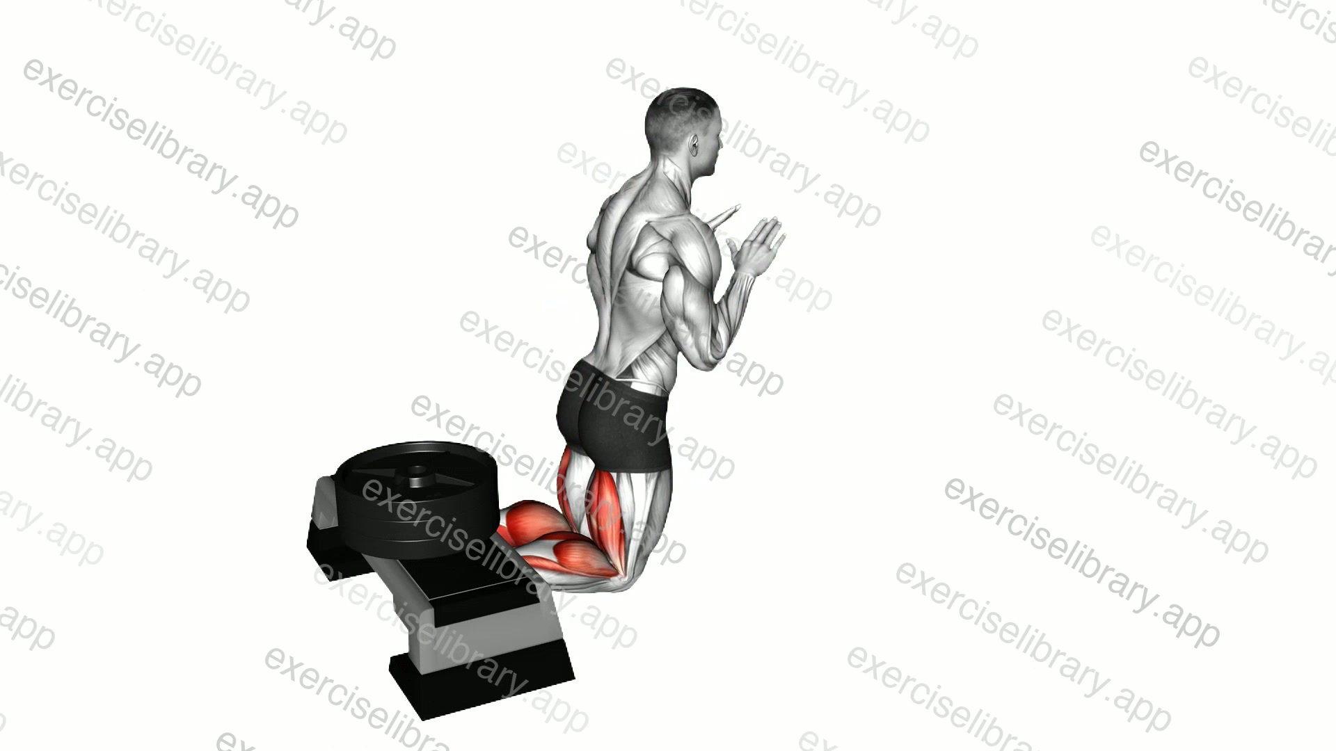 Self Assisted Inverse Leg Curl demonstration