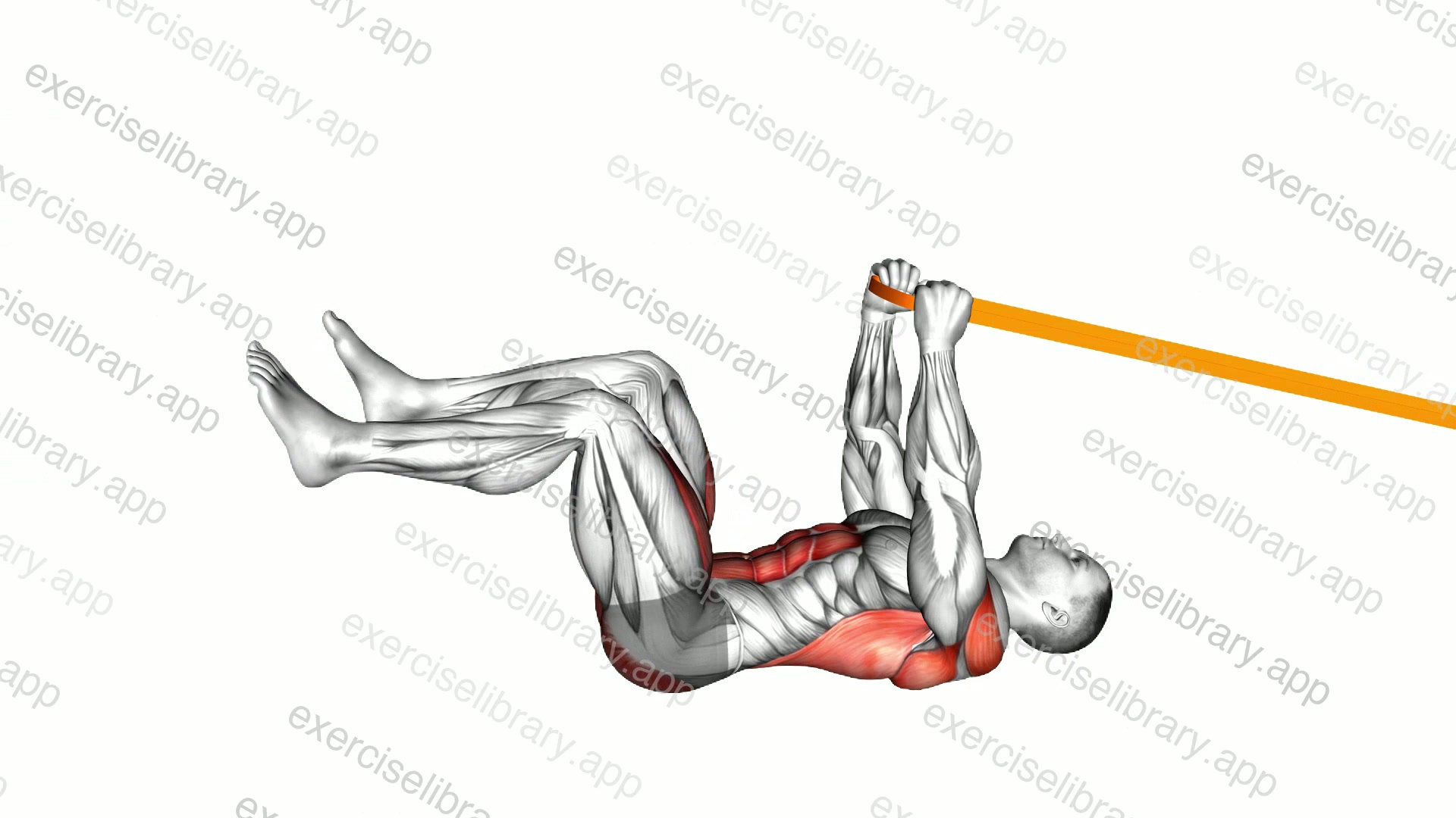 Resistance Band Upper Body Dead Bug demonstration