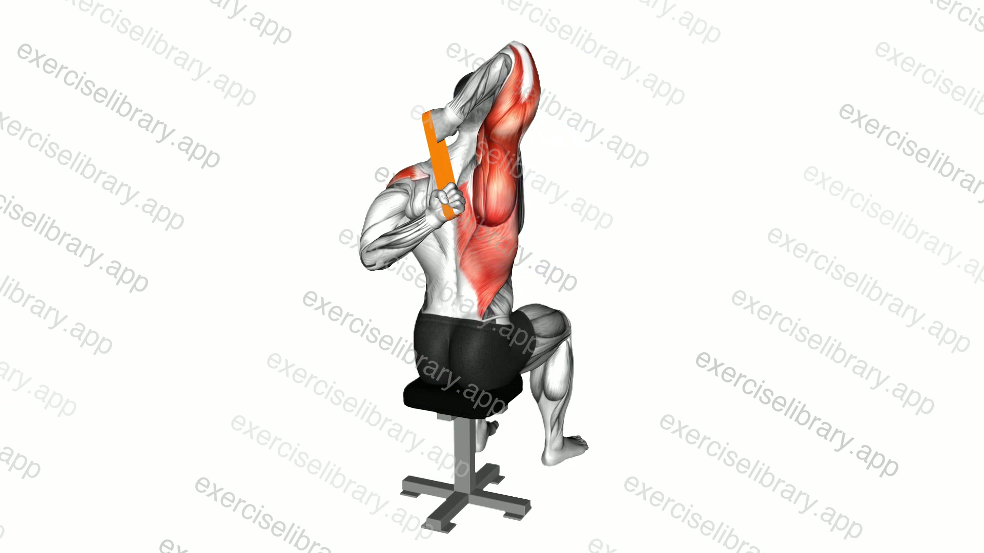Resistance Band Shoulder Stretch Behind the Back demonstration