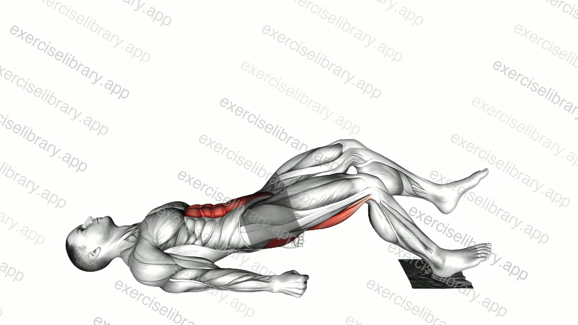 Single Leg Sliding Floor Bridge Curl on Towel demonstration