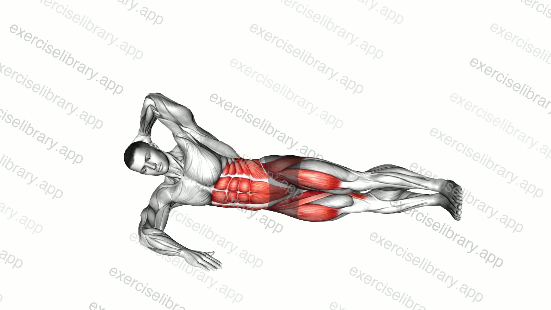 Oblique V-up on Floor demonstration