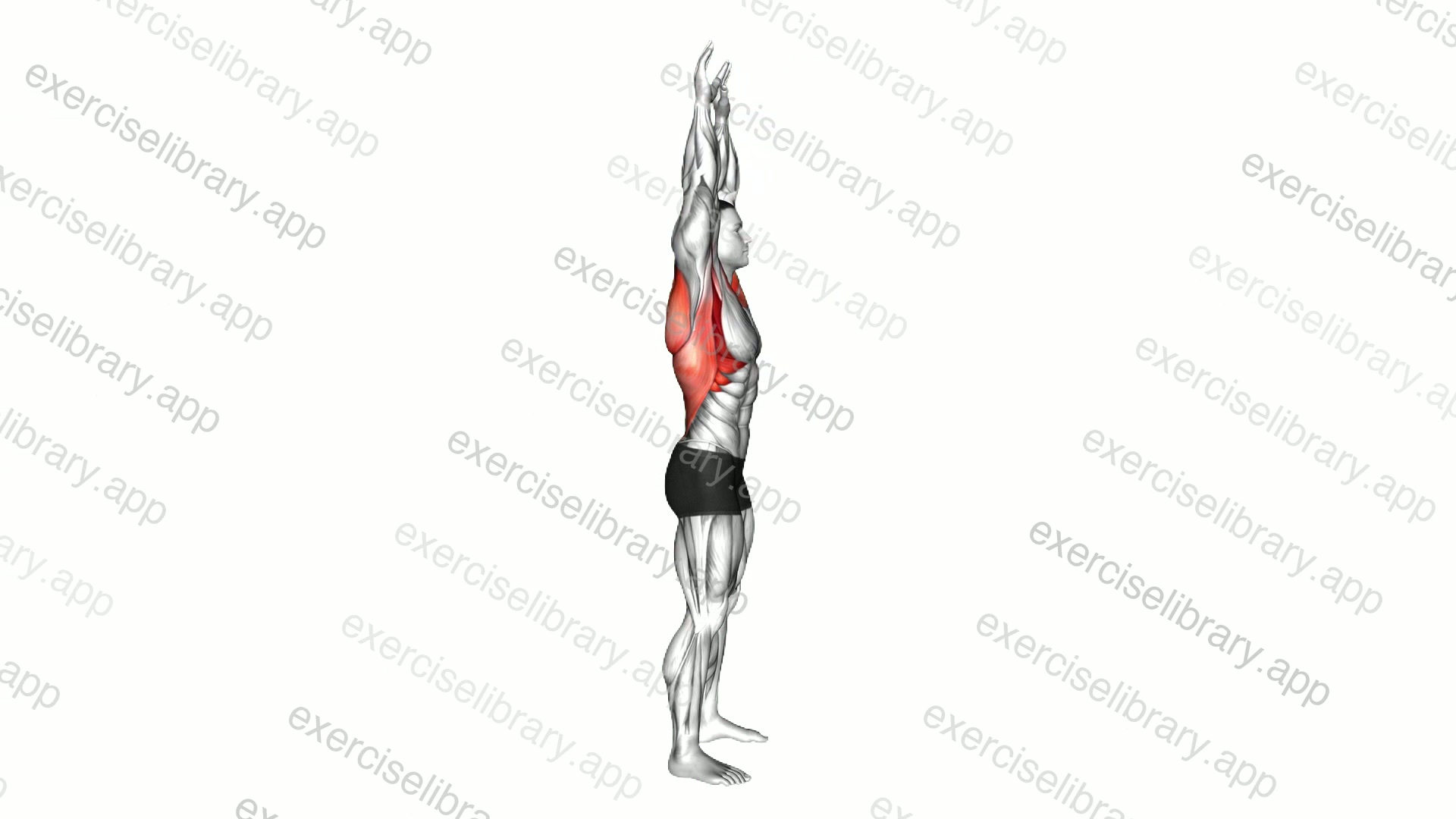 Shoulder Backbend Stretch demonstration