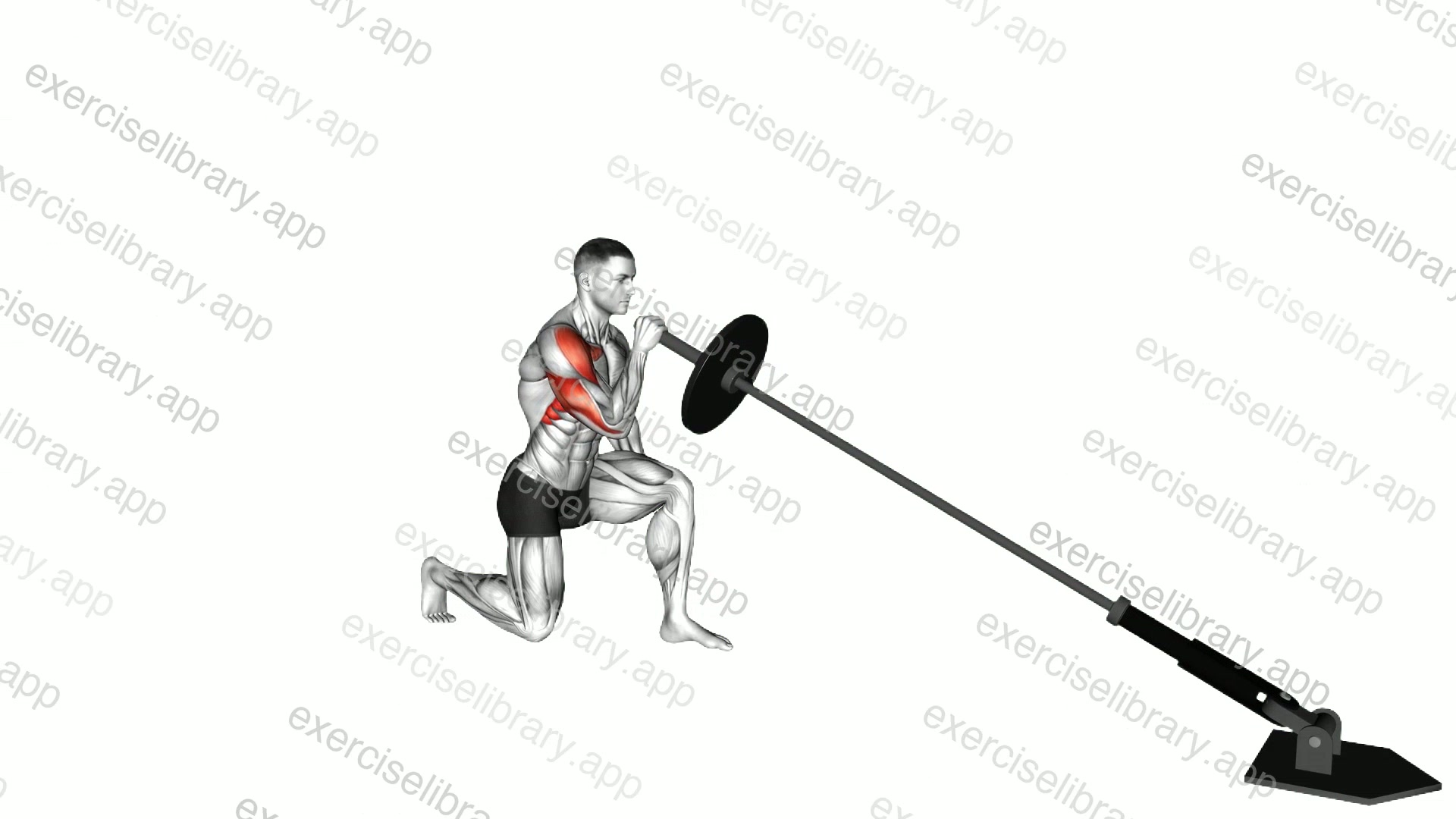 Landmine Kneeling One Arm Shoulder Press demonstration