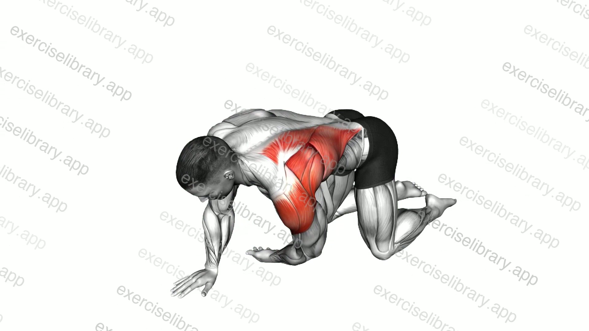 Kneeling T Spine Mobility demonstration
