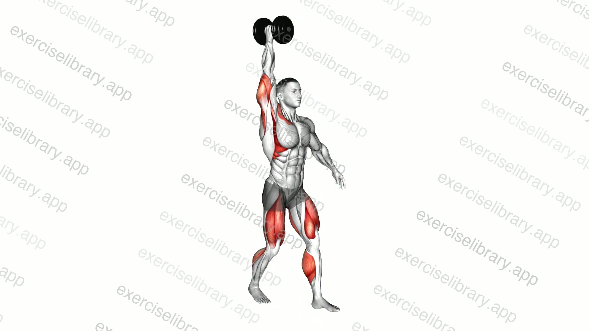 Dumbbell Single Arm Overhead Carry demonstration