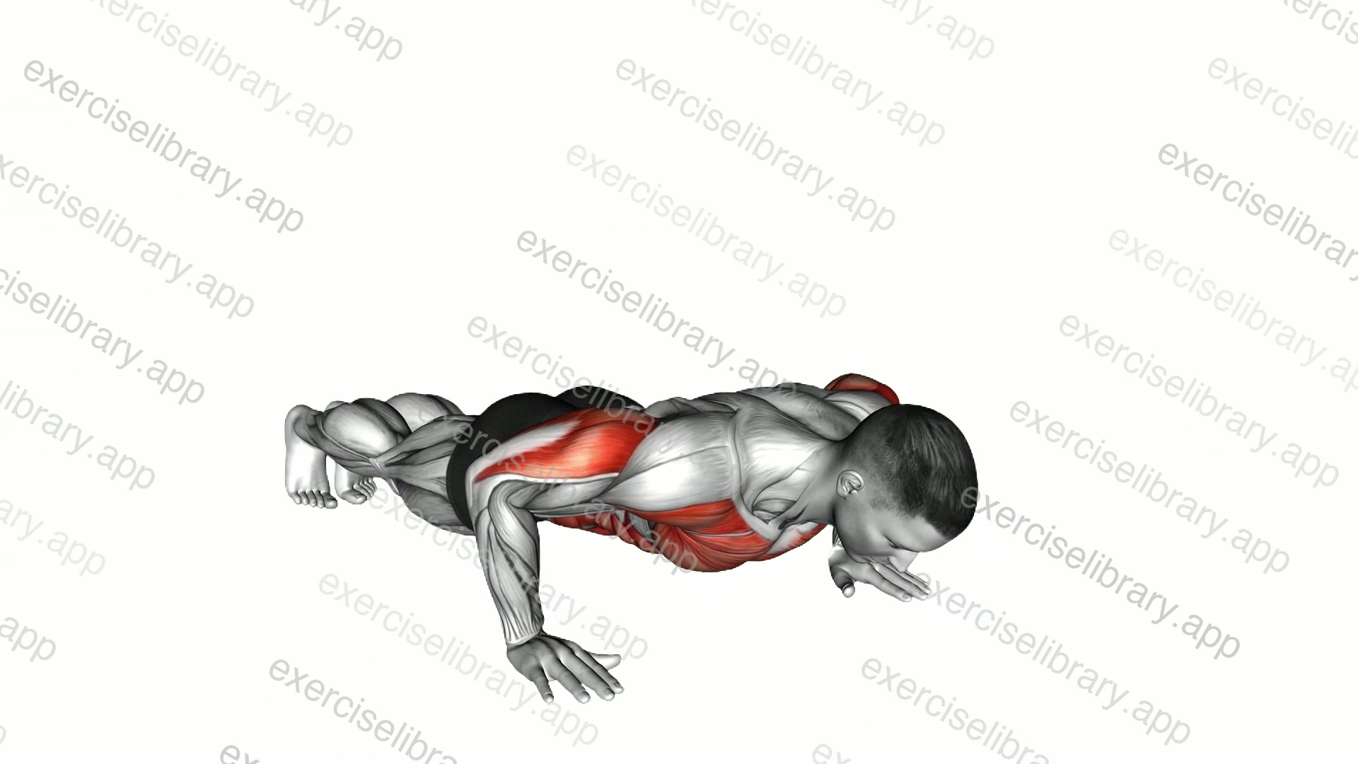 Rotational Push-up demonstration