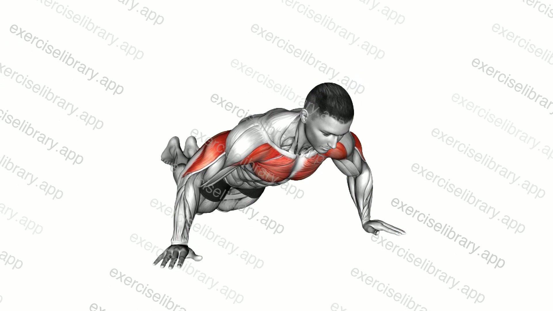 Kneeling Wide Hand Push Up demonstration