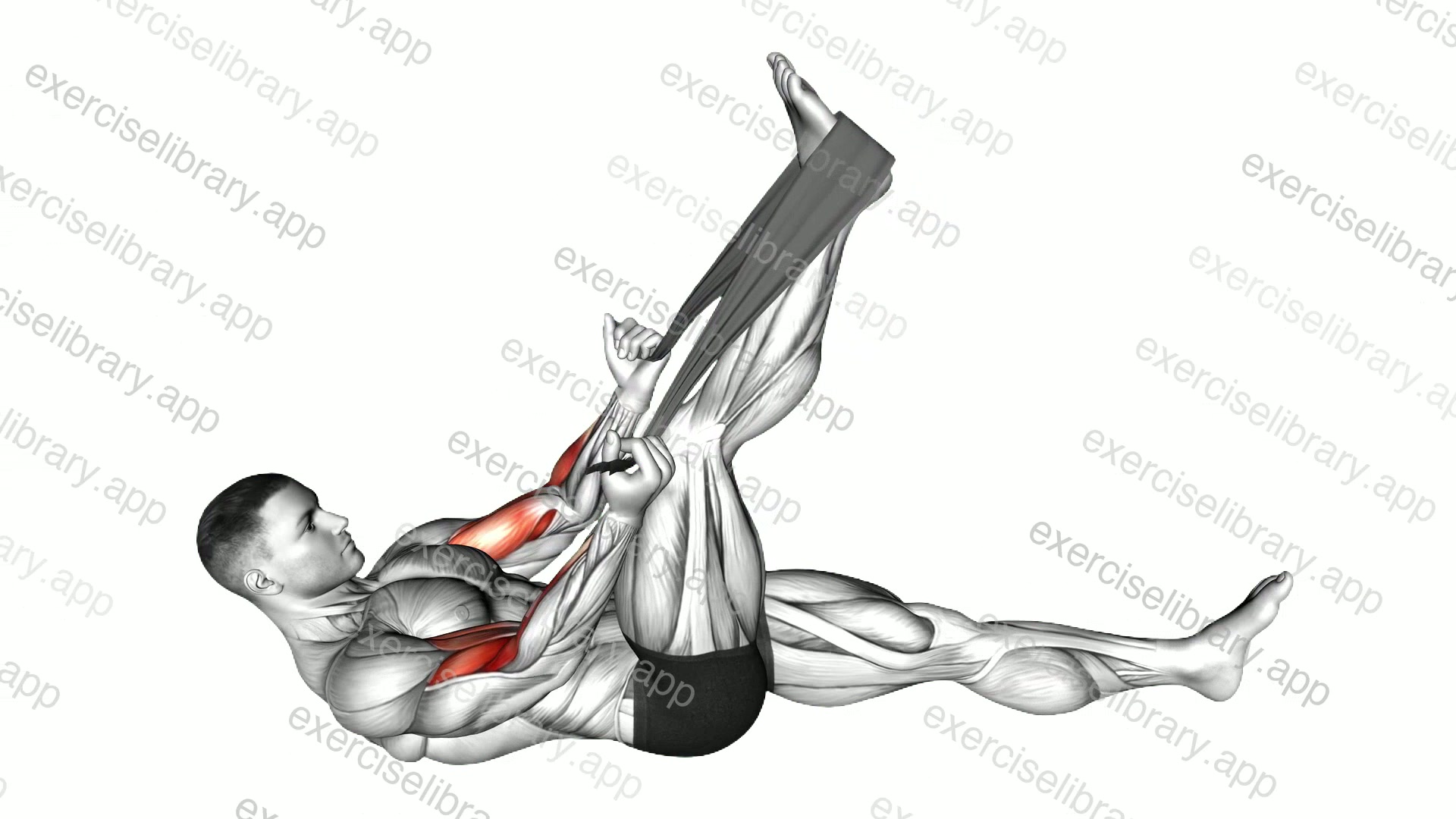 Lying Biceps Curl with Towel demonstration