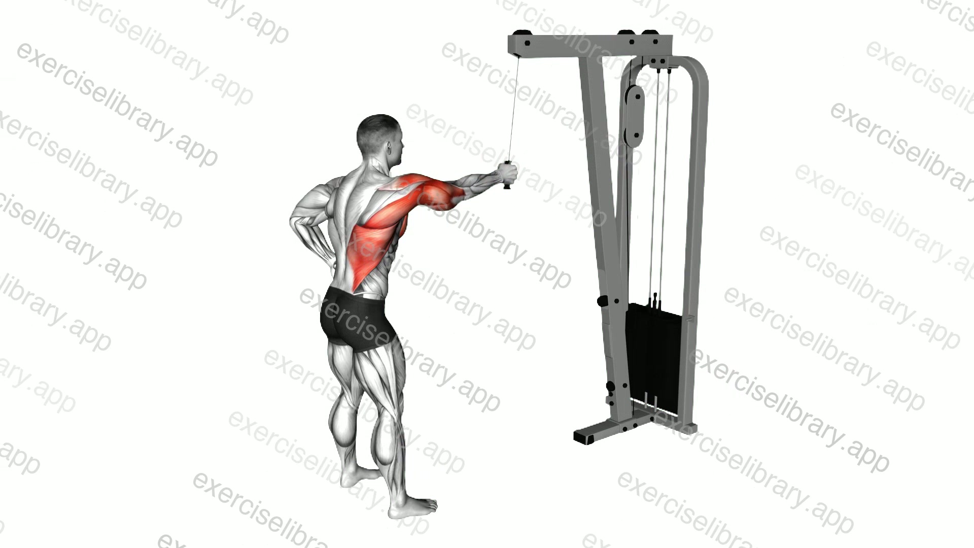 Cable One Arm Pulldown demonstration