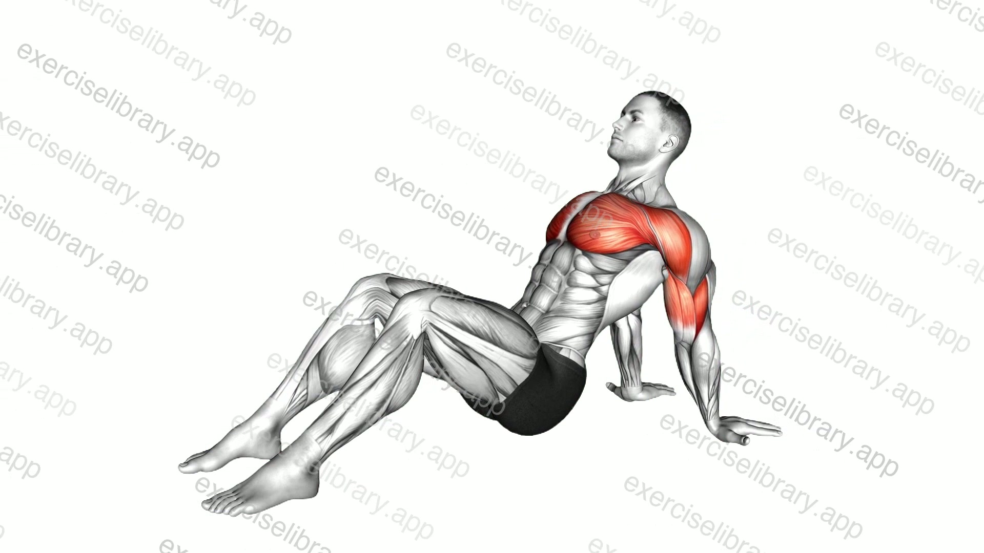 Seated Shoulder Flexor Depresor Retractor Stretch Bent Knee demonstration