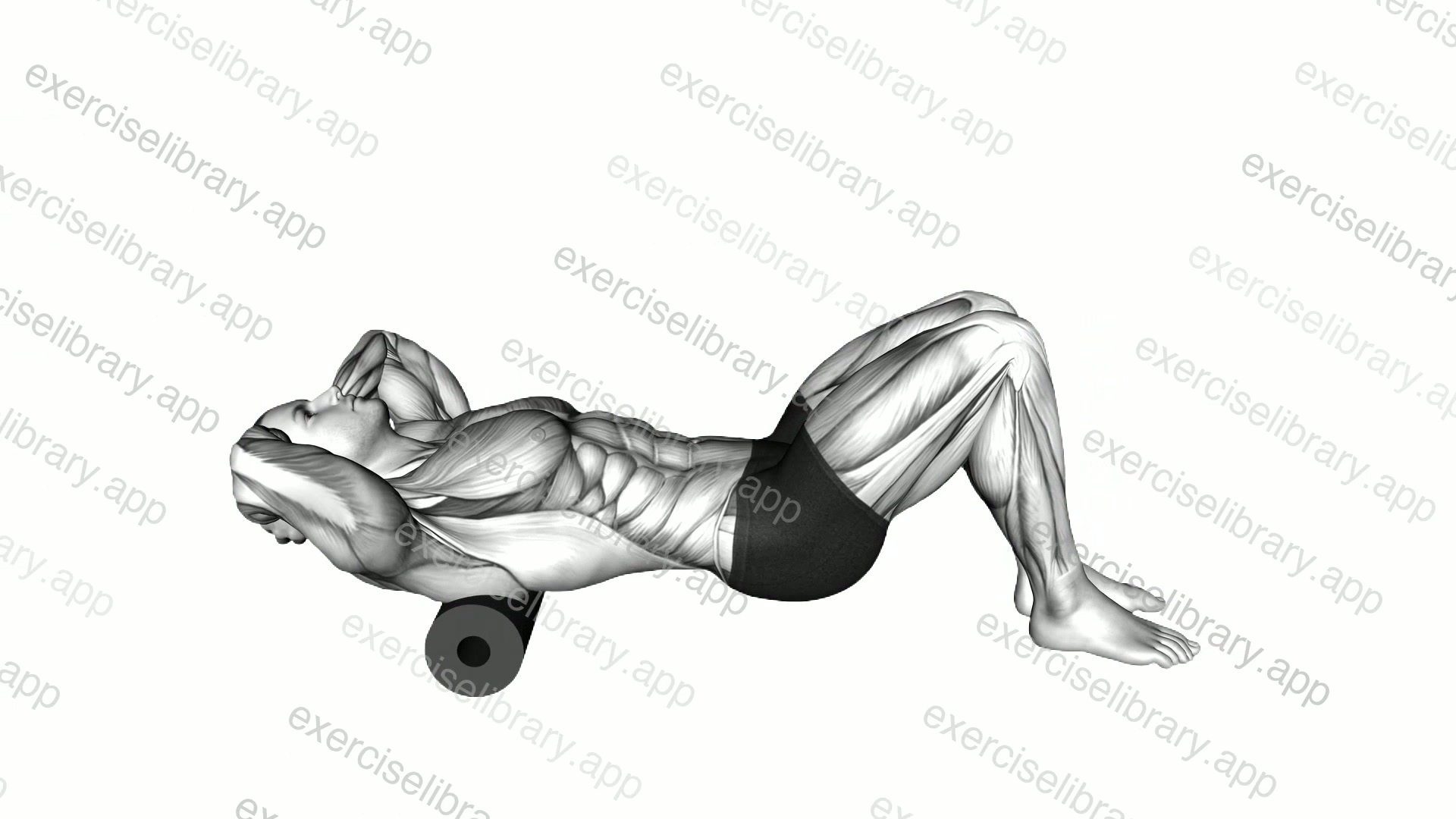 Roll Upper Back demonstration