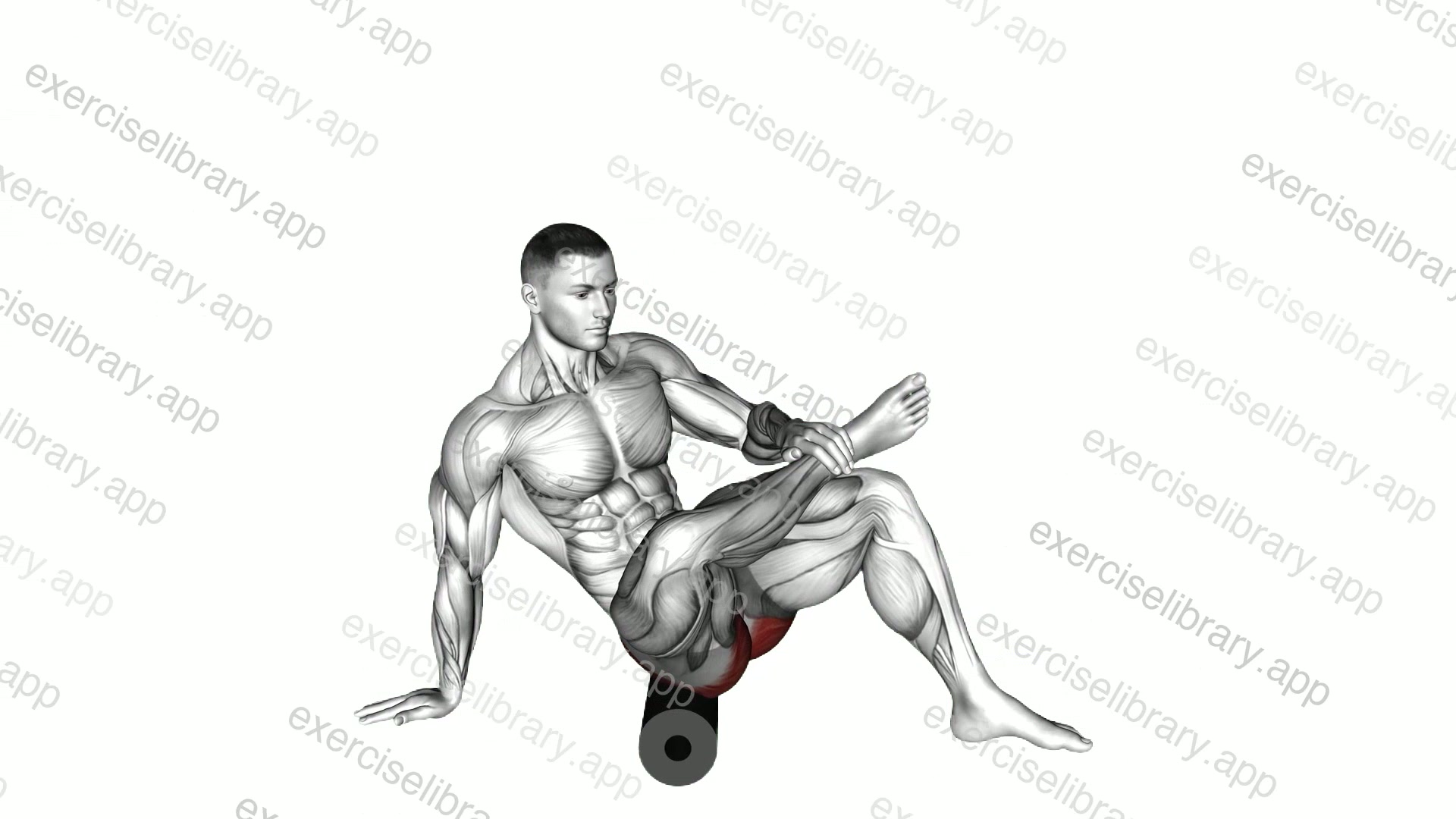 Roll Recumbent Hip External Rotator and Hip Extensor Stretch demonstration