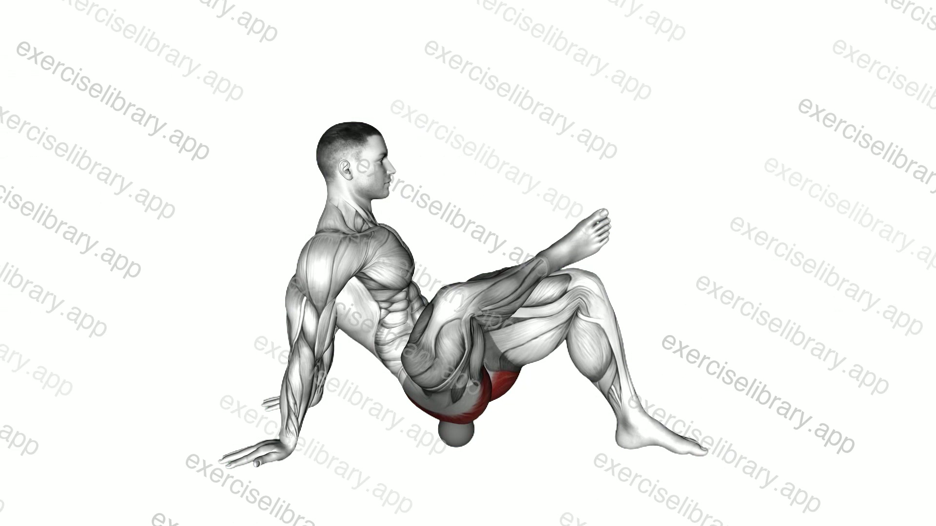 Roll Ball Piriformis Release demonstration