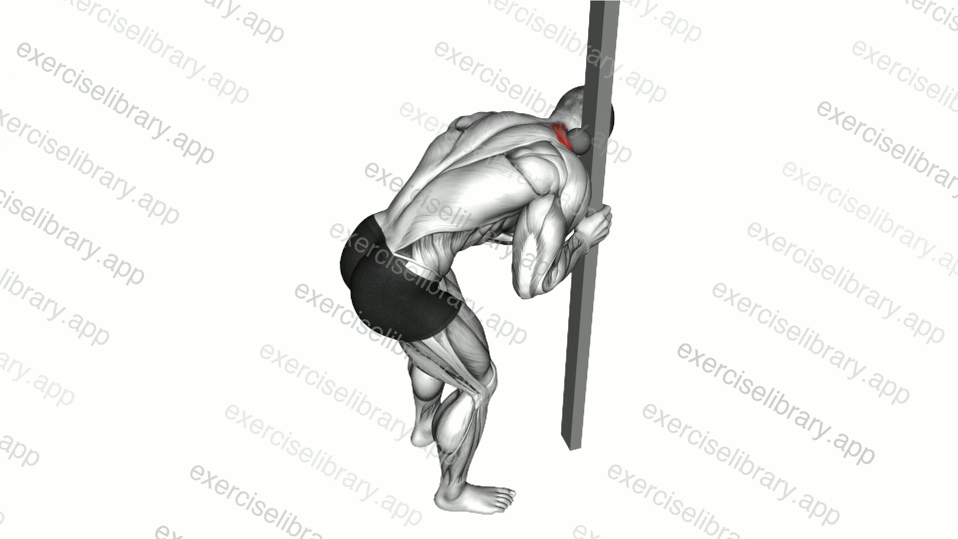 Roll Ball Upper Trapezius Release demonstration