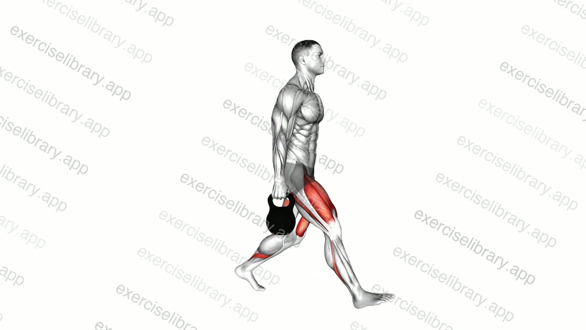 Kettlebell Forward Lunge demonstration