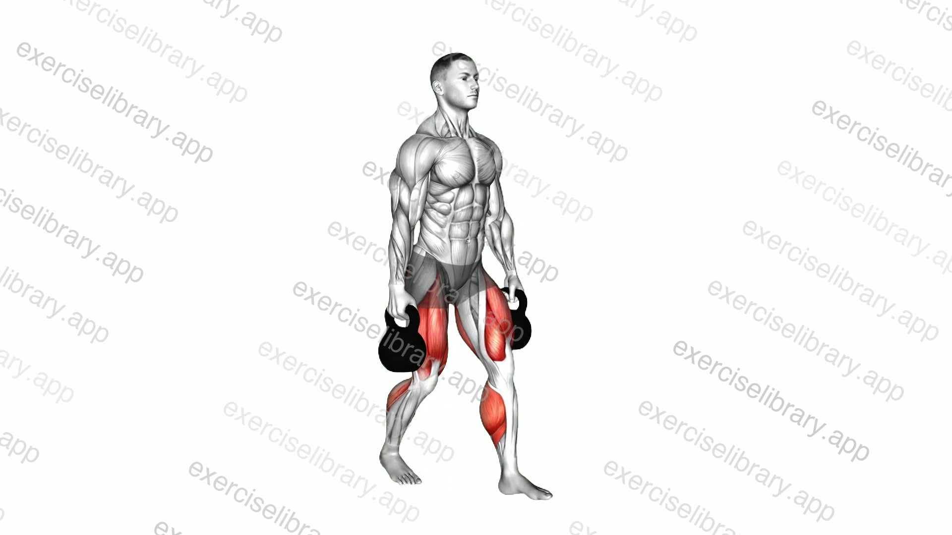 Kettlebell Farmers Carry demonstration