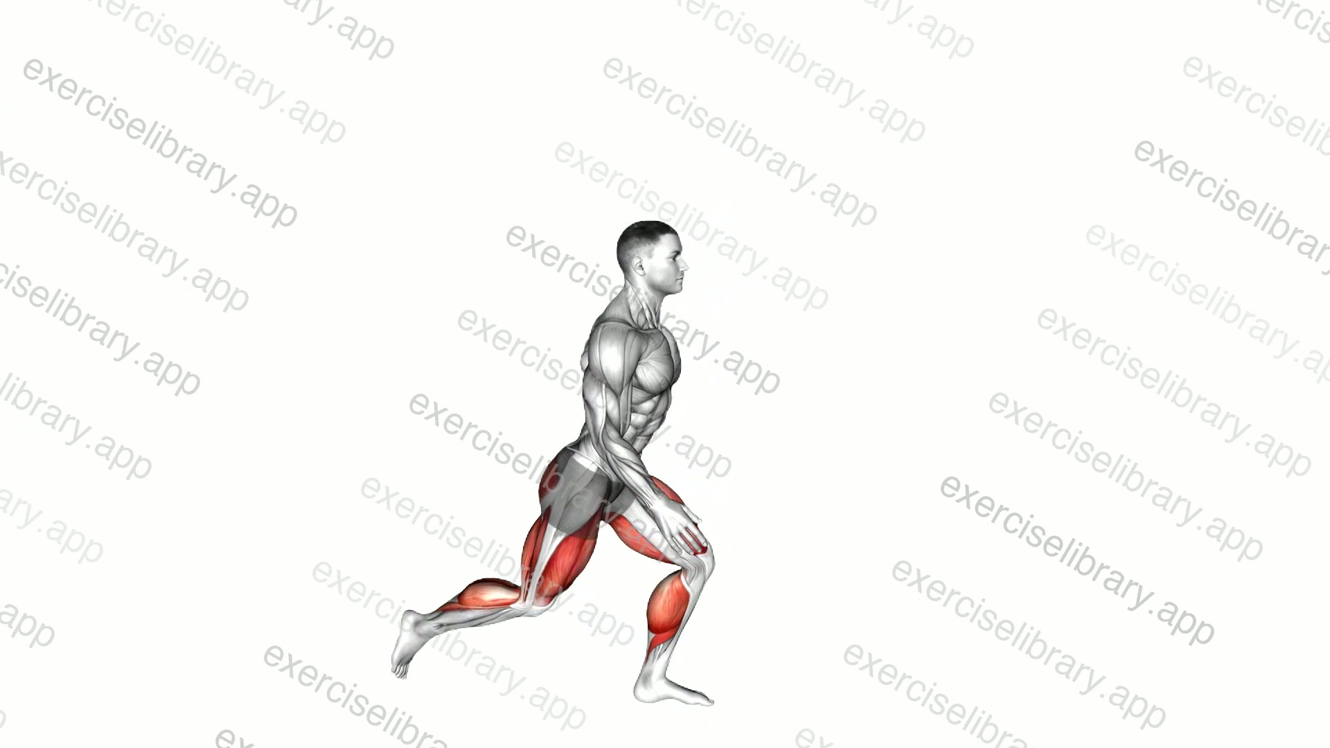 Lunge with Jump demonstration