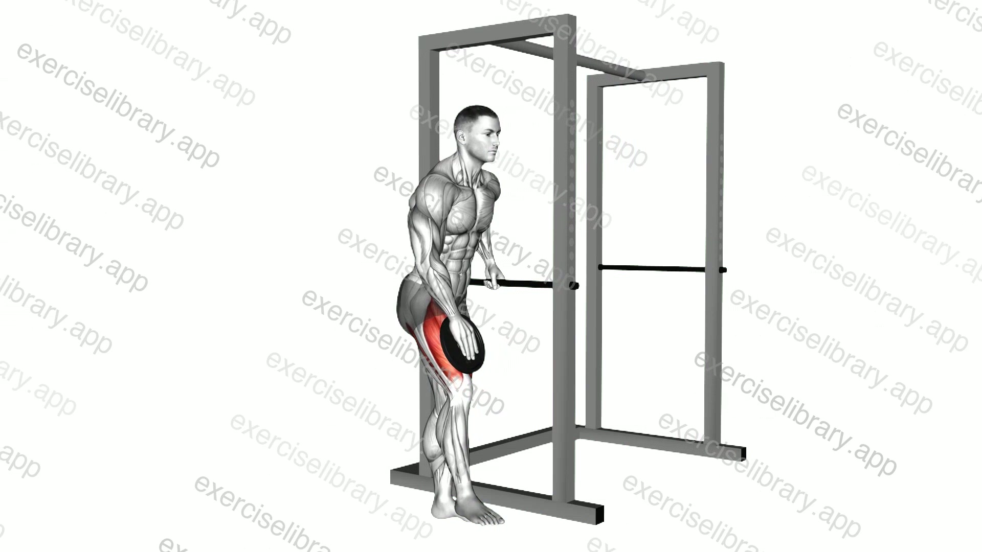 Weighted Single Leg Lift demonstration