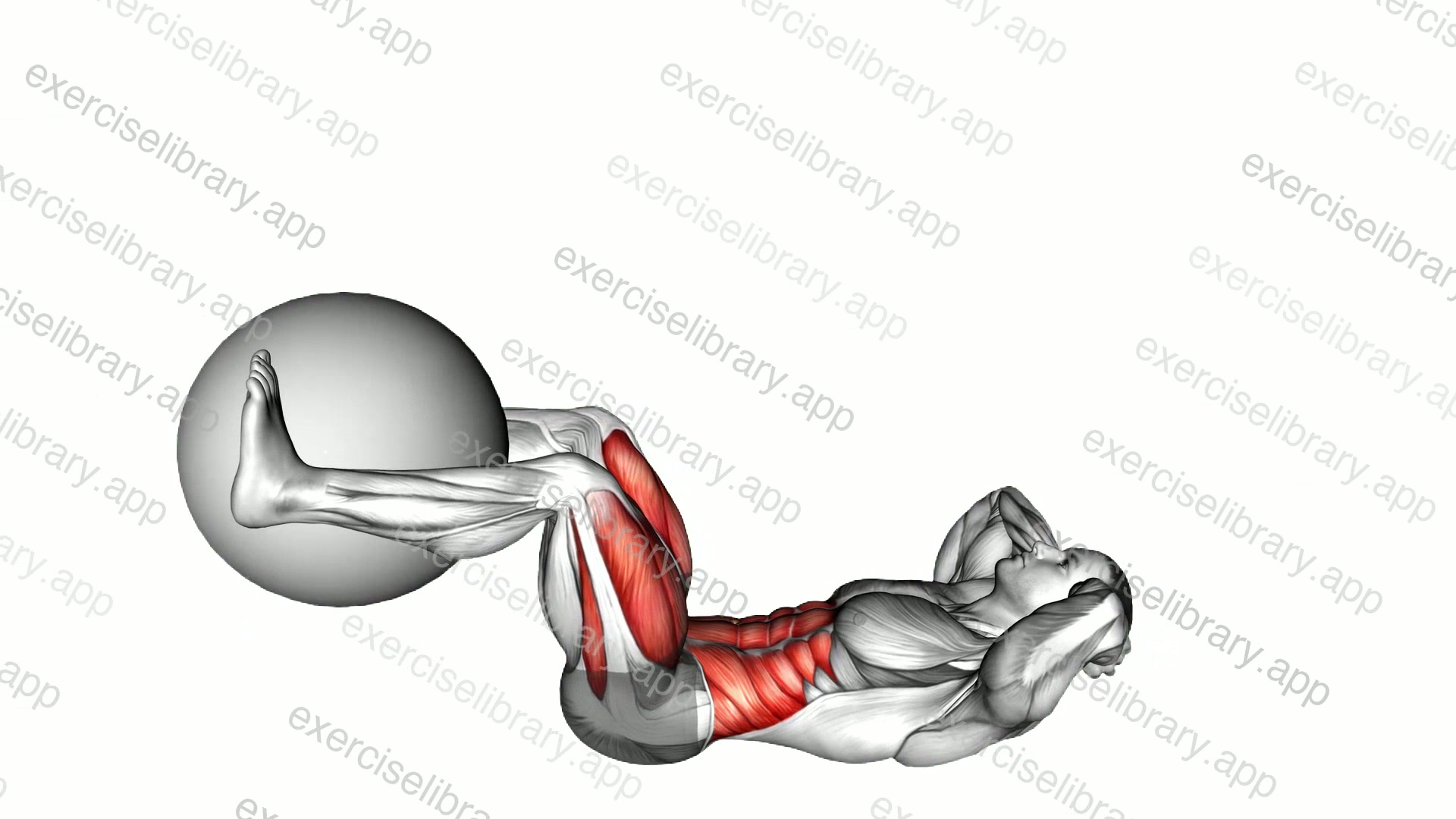 Leg Extension Crunch demonstration