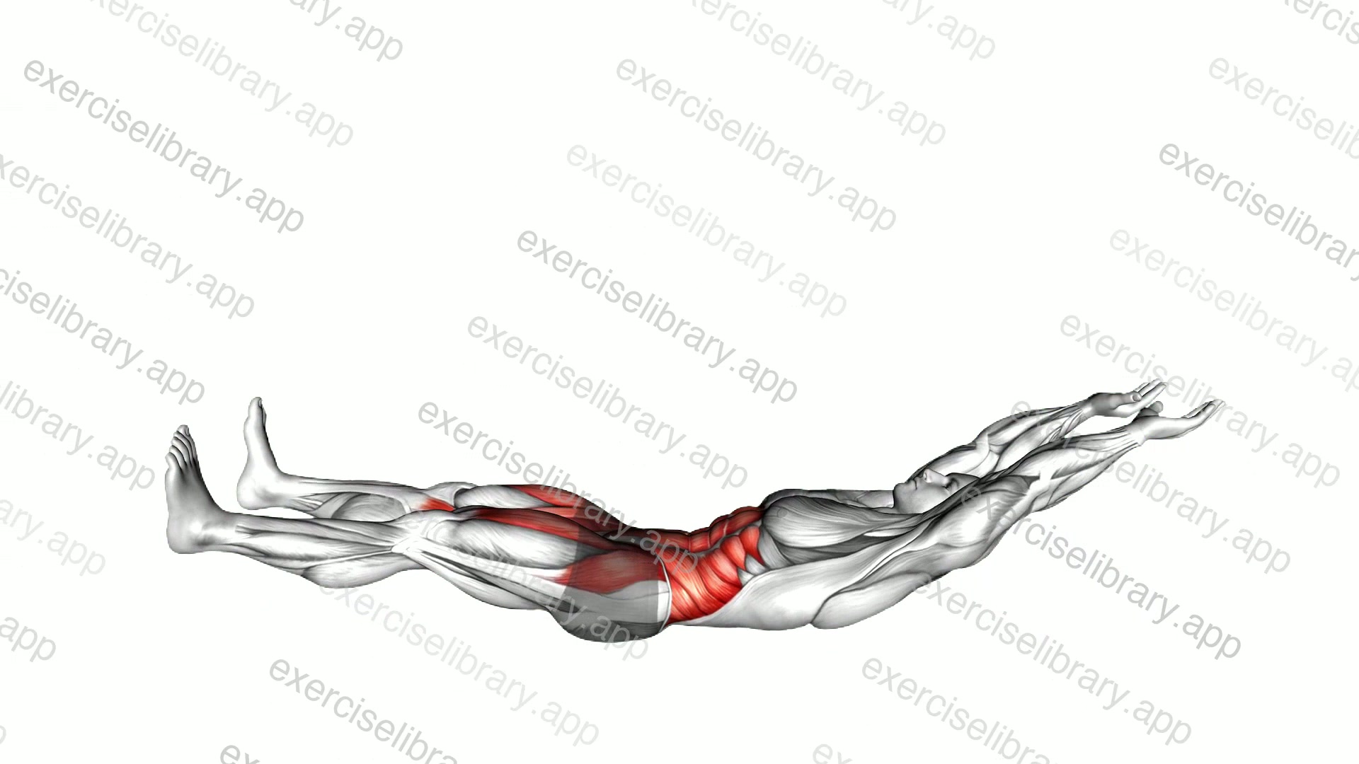 V-up demonstration