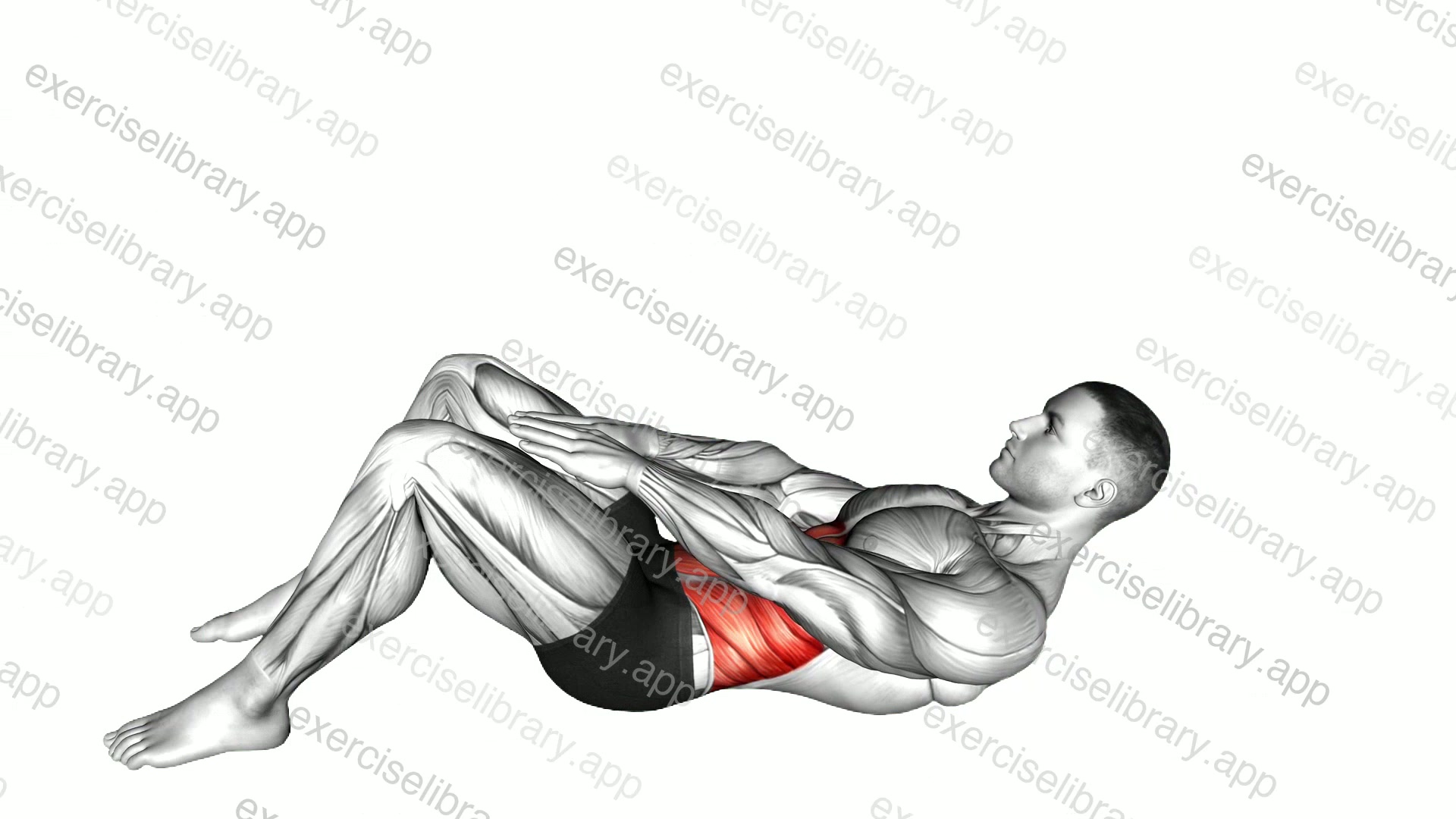 Knee Touch Crunch demonstration