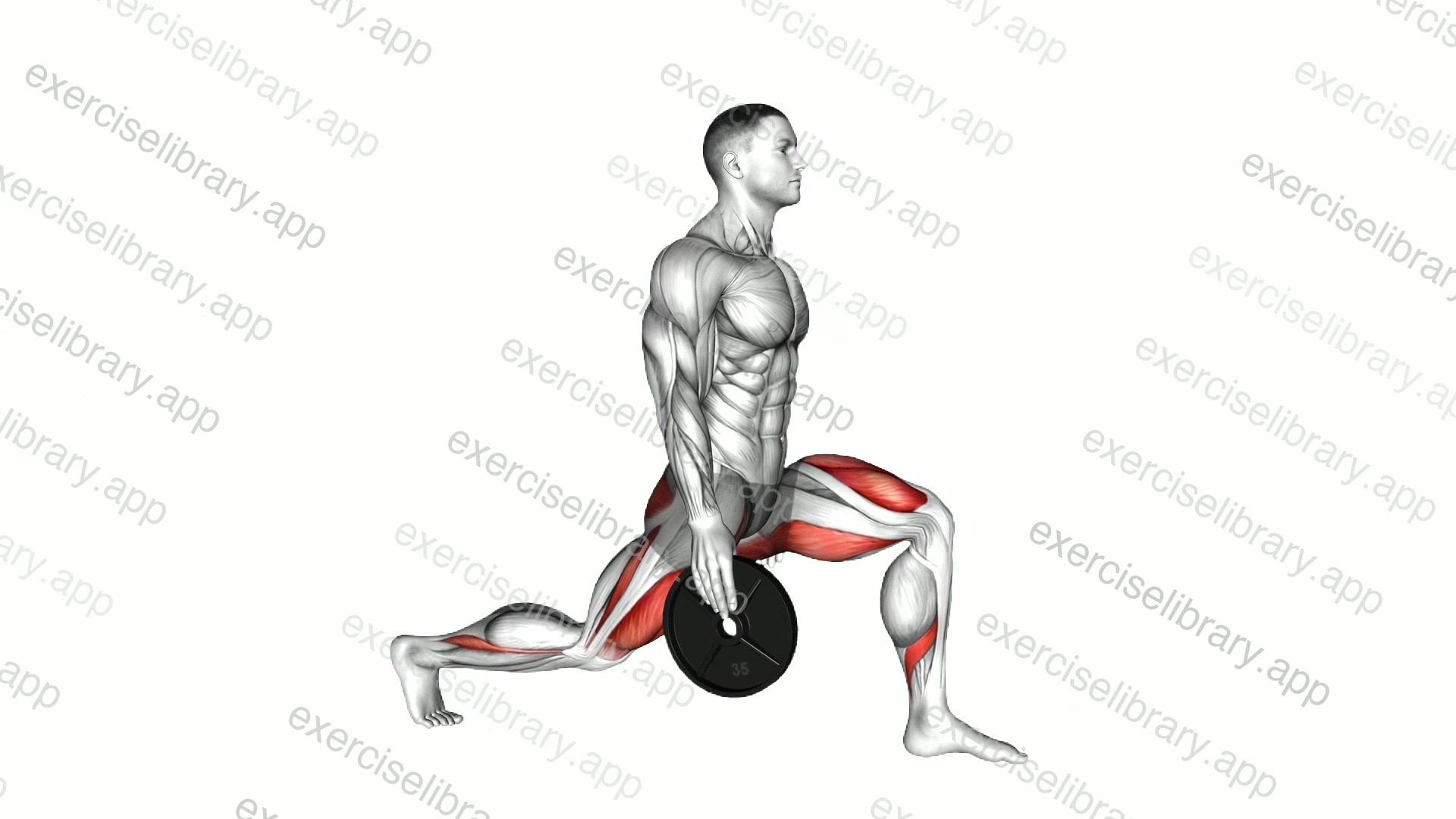 Weighted Stretch Lunge demonstration