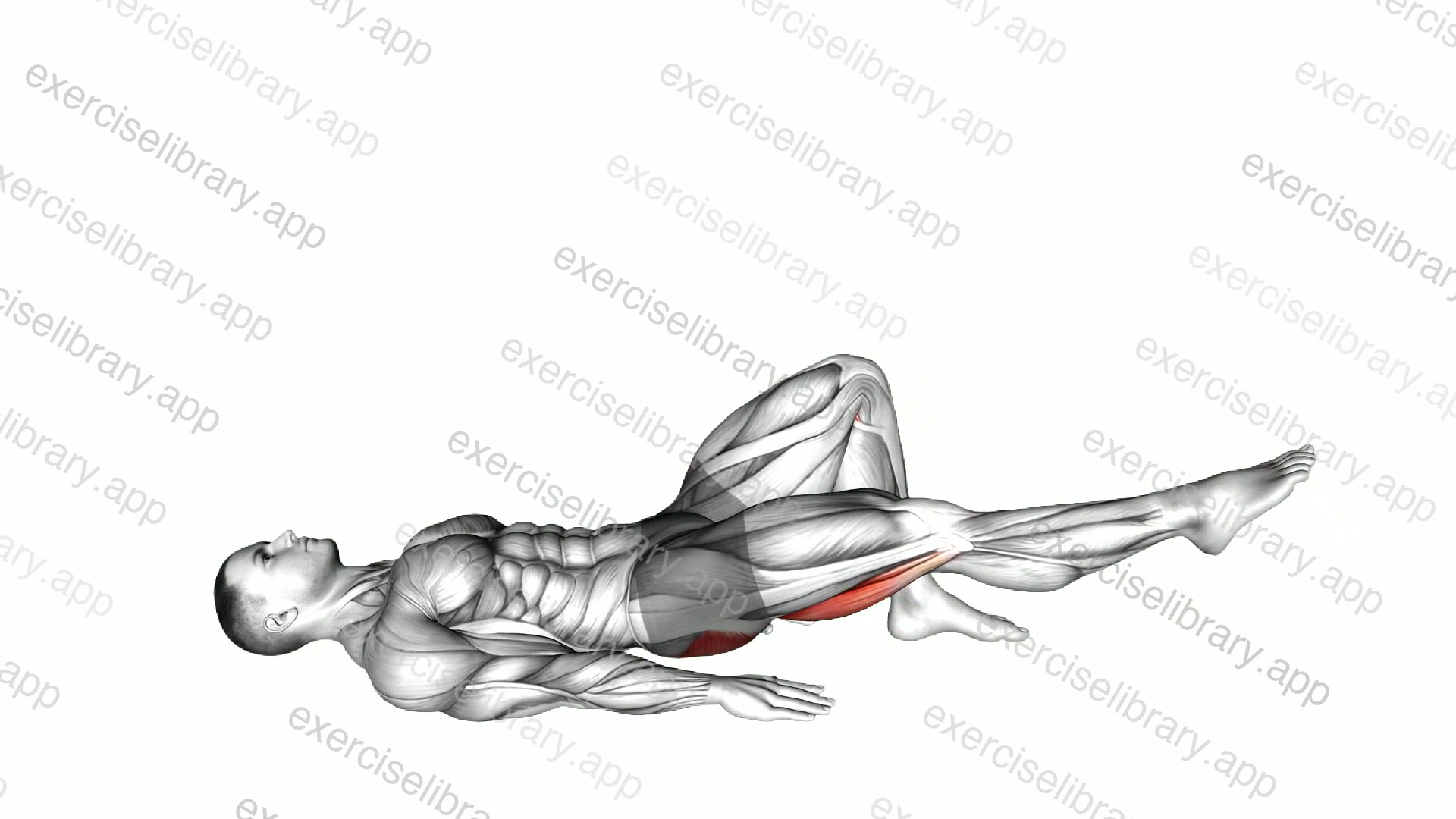 Single Leg Bridge with Outstretched Leg demonstration