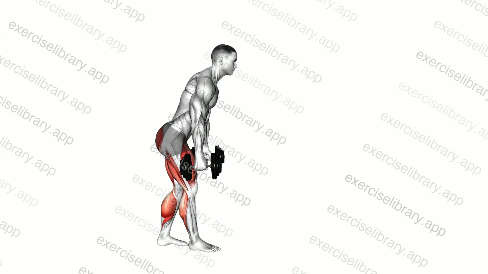 Dumbbell RDL Death March demonstration