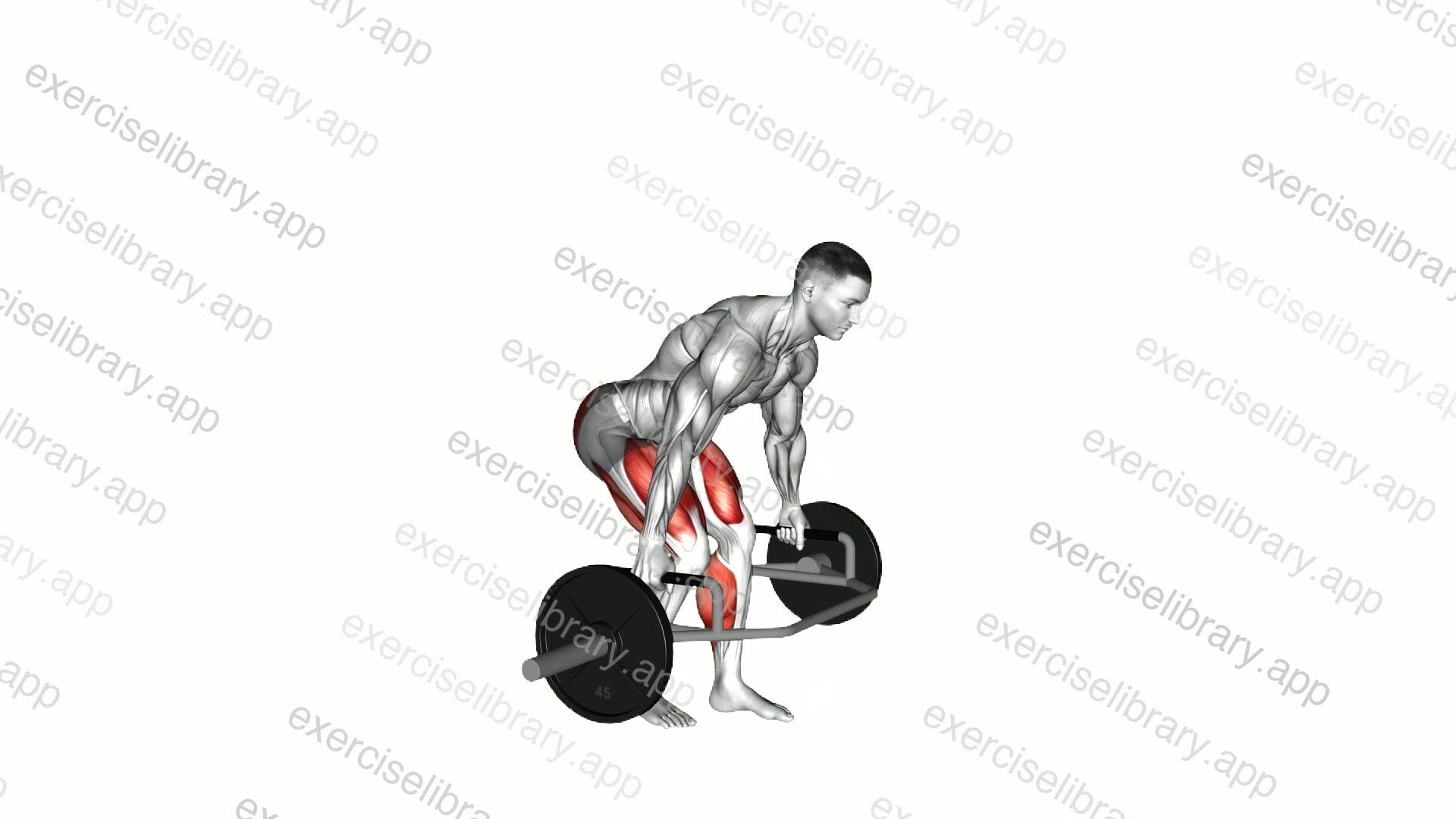 Trap Bar Split Stance RDL demonstration