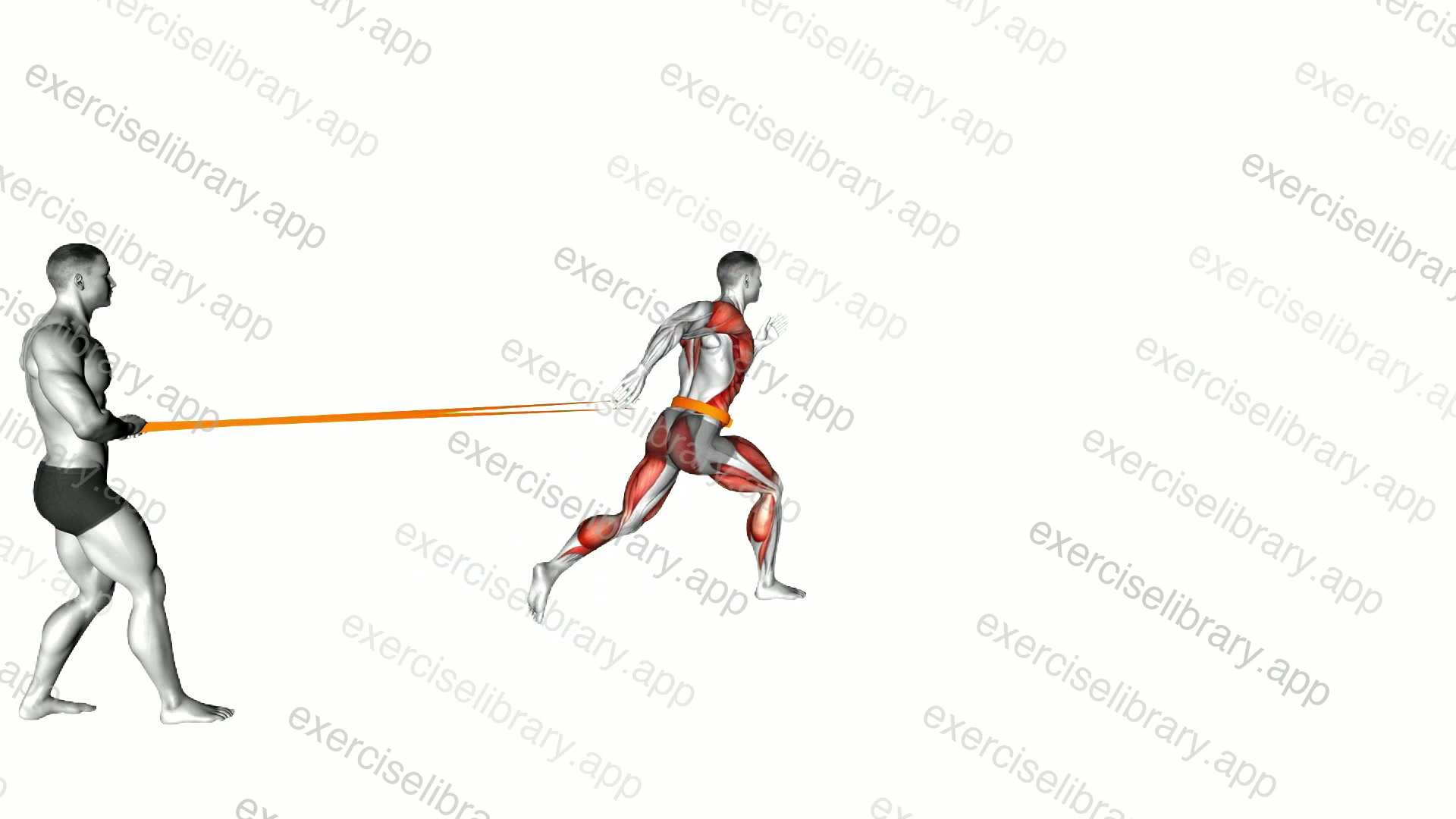 Band Assisted Sprinter Run demonstration