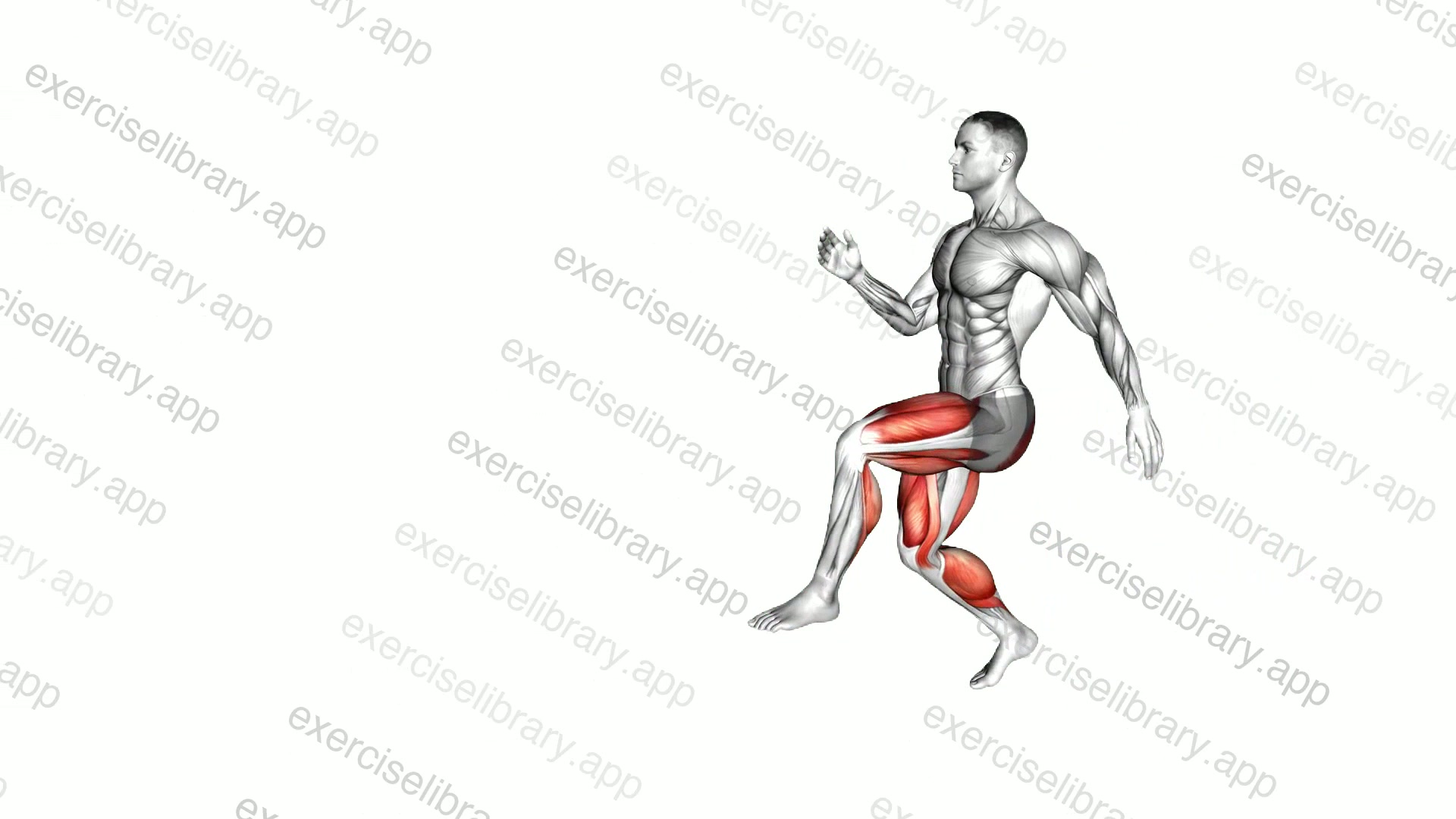 Walking High Knees Lunge demonstration