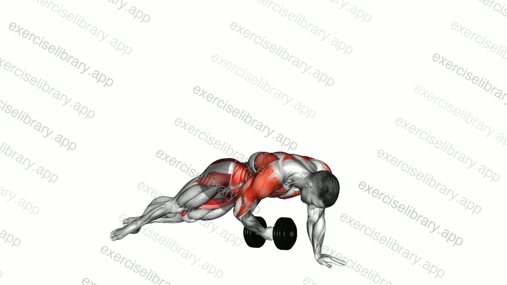 Dumbbell Side Plank with Rear Fly demonstration