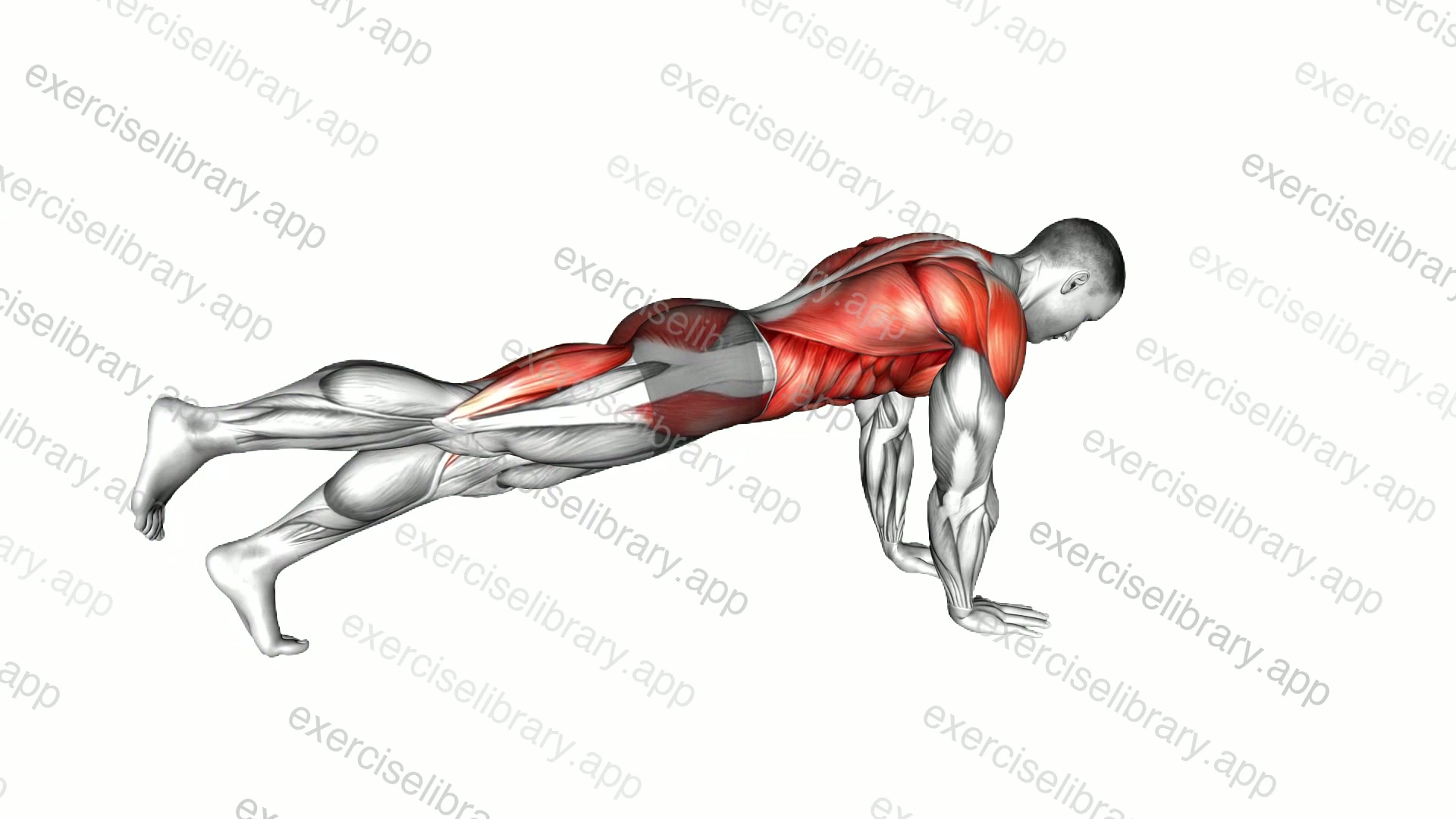 Power Point Plank demonstration