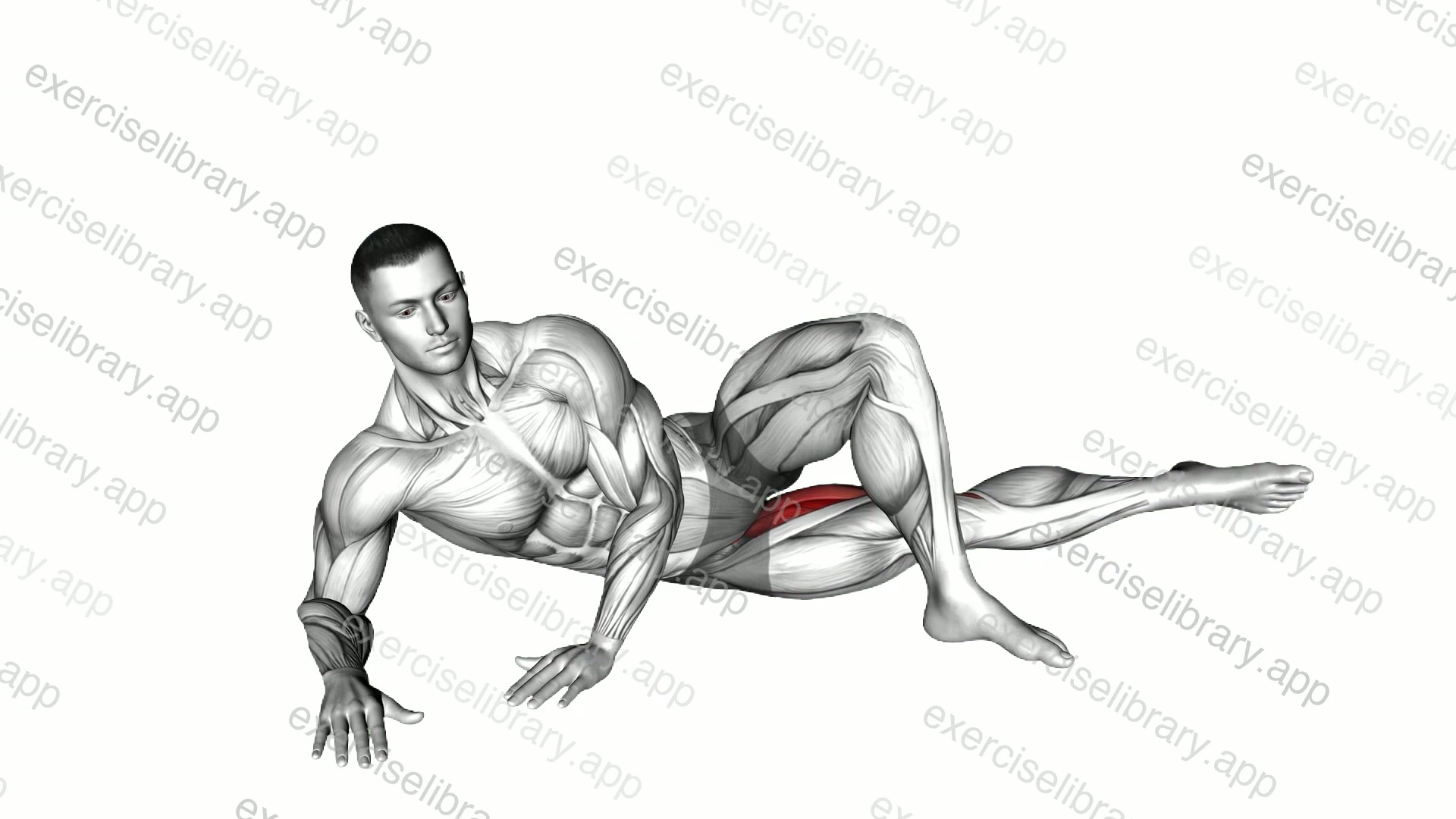 Side Lying Hip Adduction demonstration