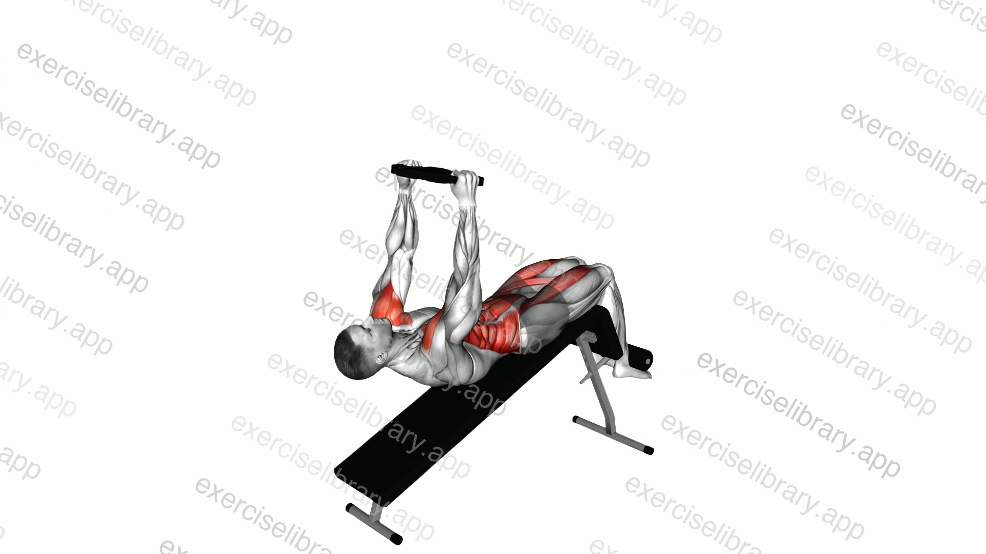 Weighted Decline Sit-up demonstration