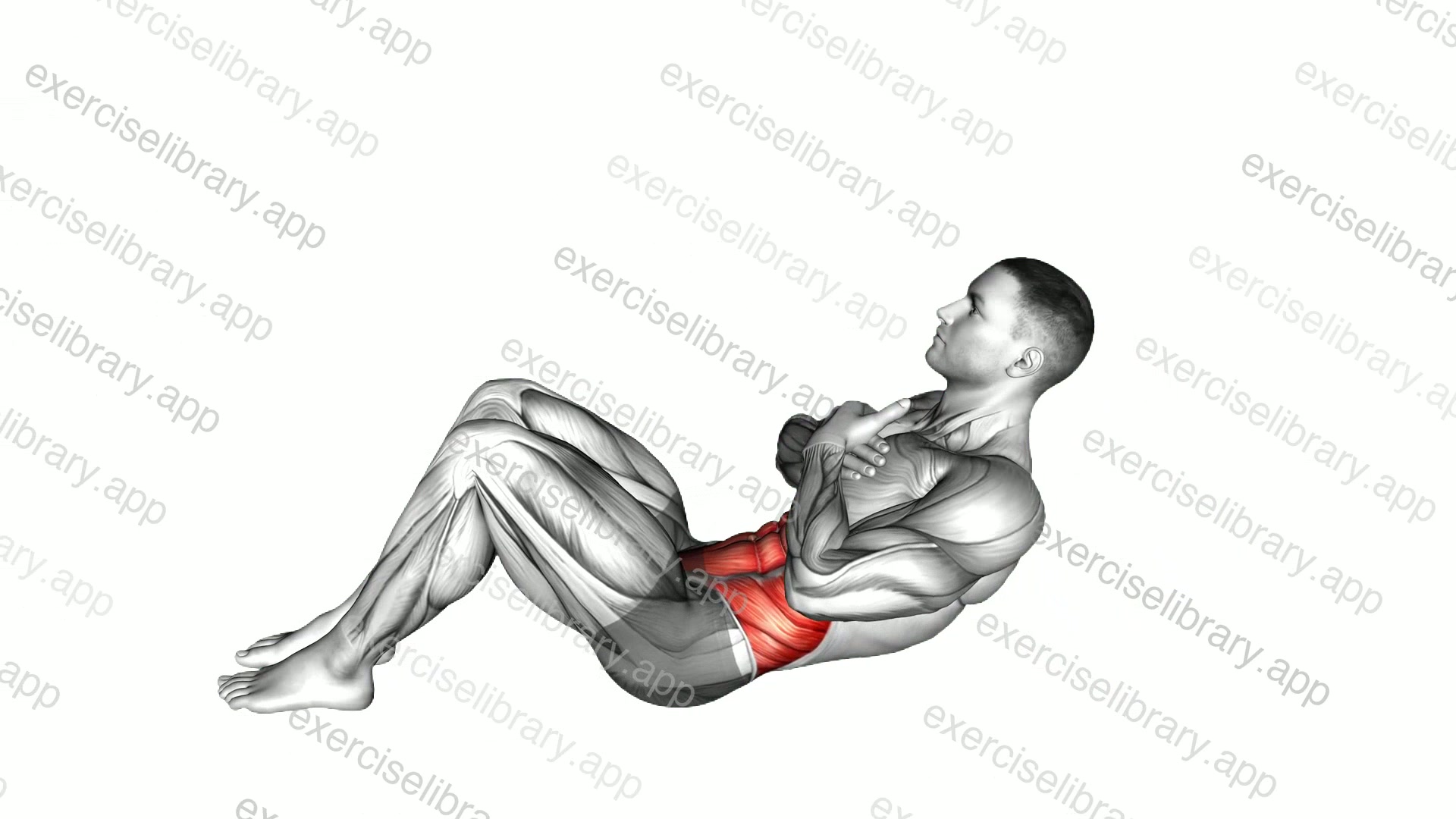 Sit-up with Arms on Chest demonstration
