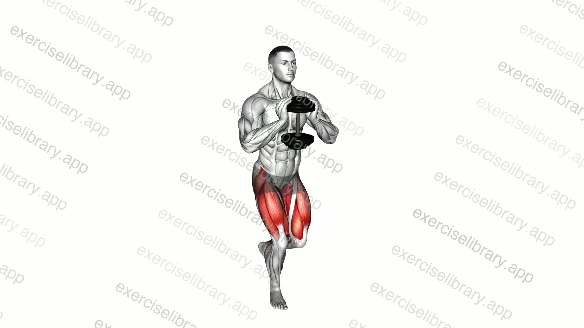 Dumbbell Gobelt Curtsey Lunge demonstration