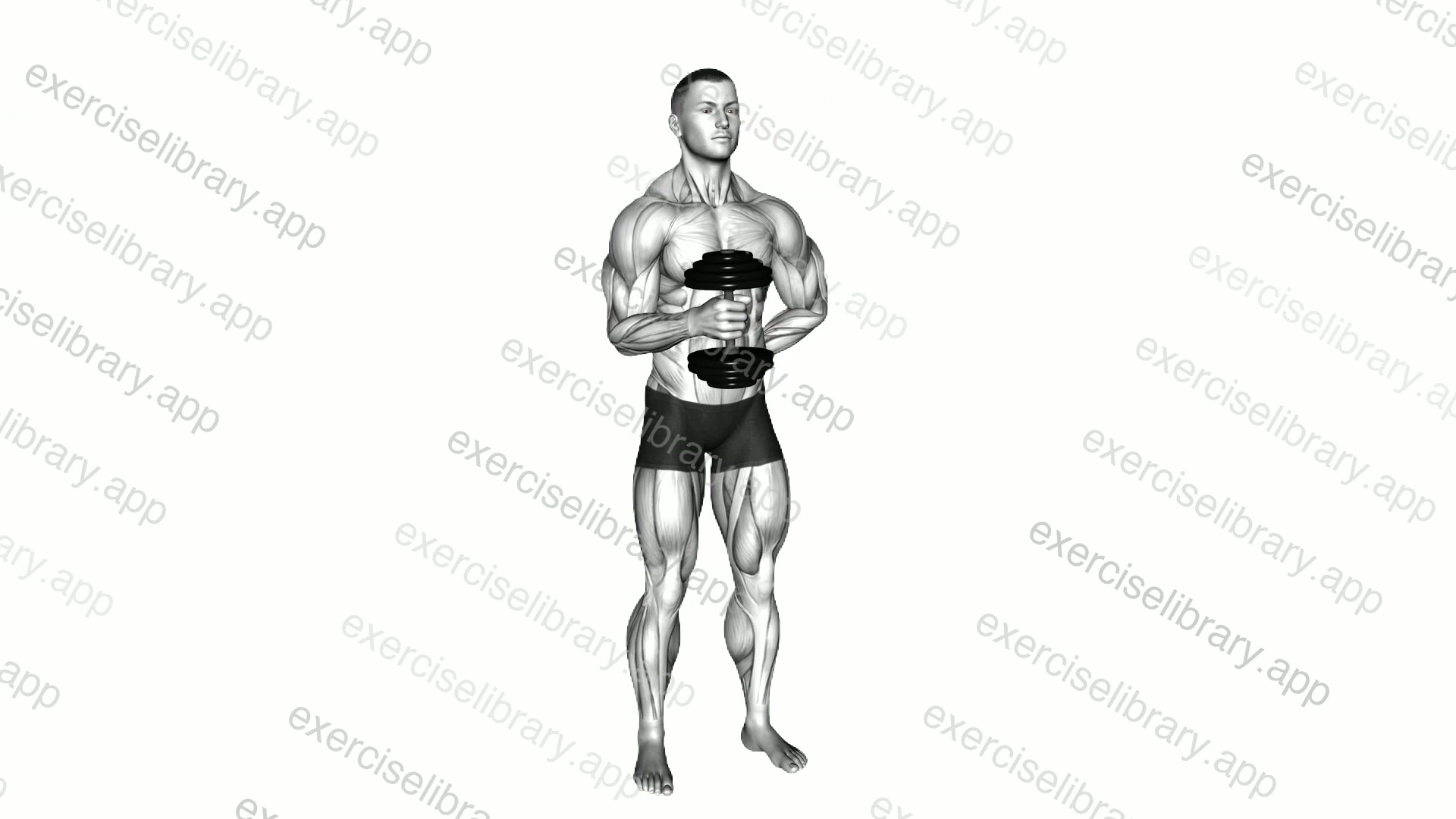 Dumbbell External Rotation demonstration