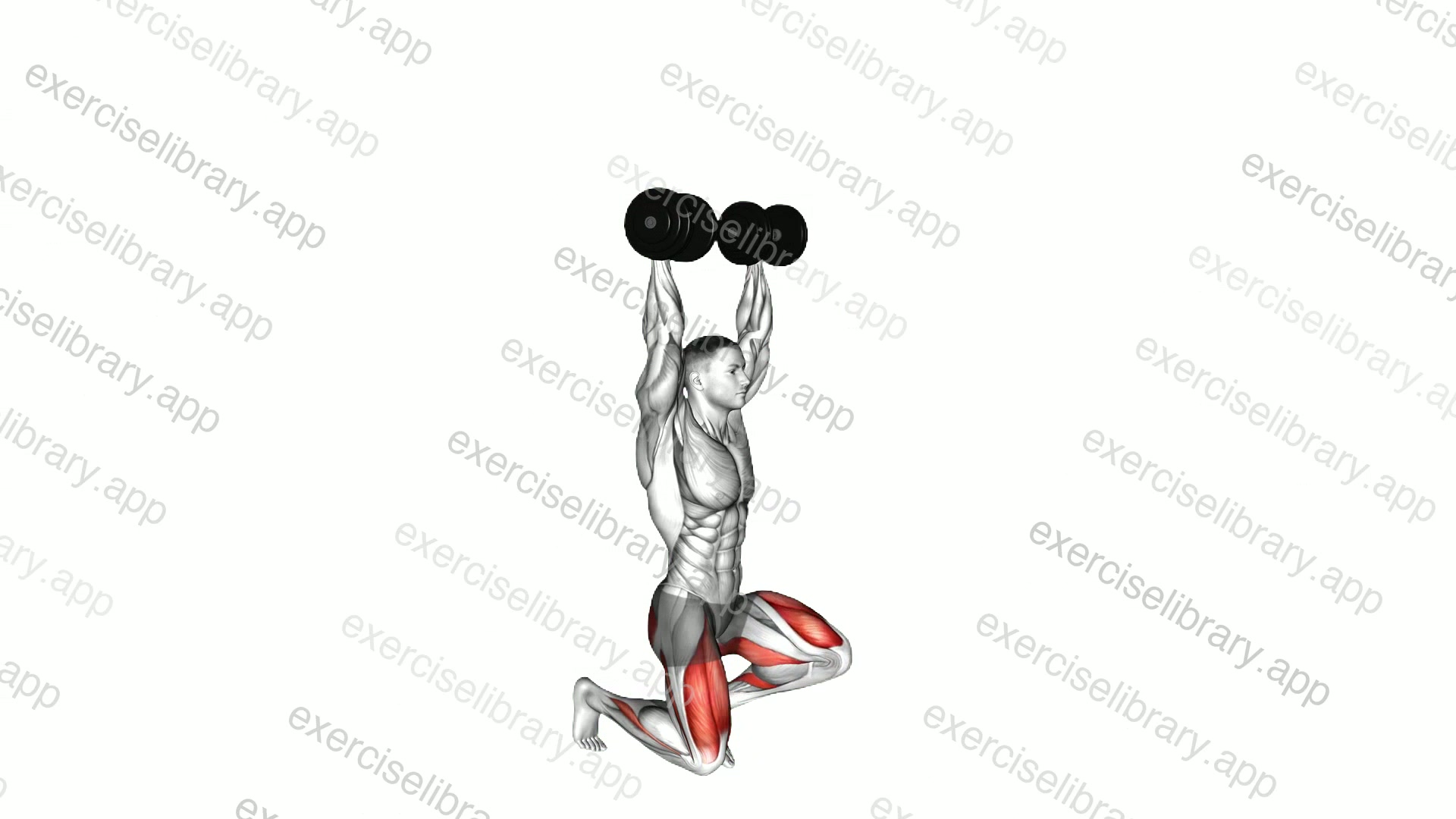 Dumbbell Kneeling Hold to Stand demonstration