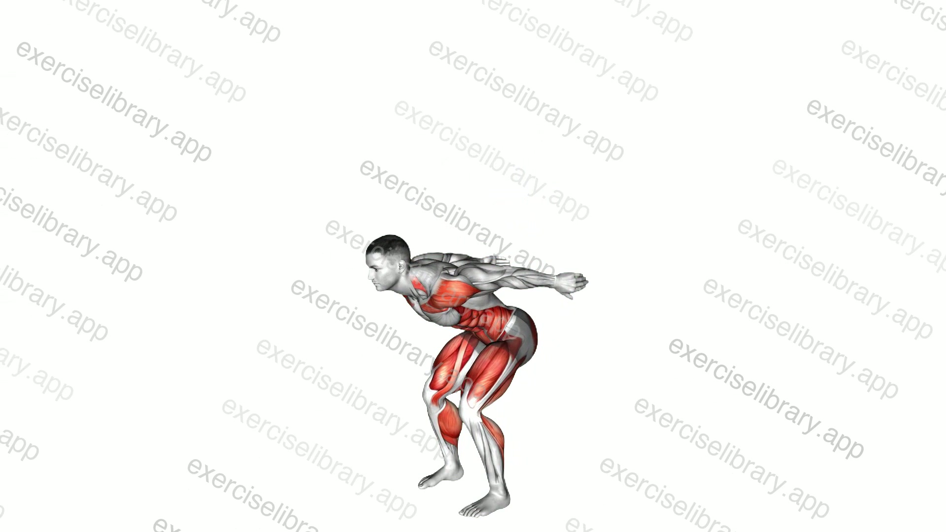 Tuck Jump demonstration