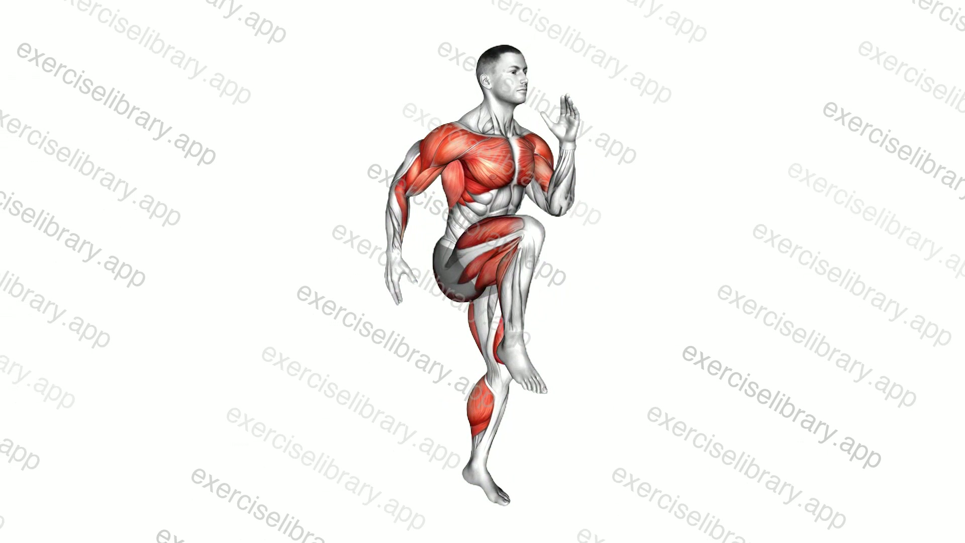 High Knee Sprints demonstration