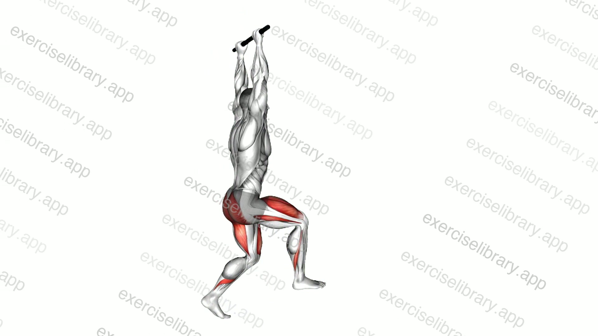 Forward Pulse Lunge with Hands Overhead demonstration