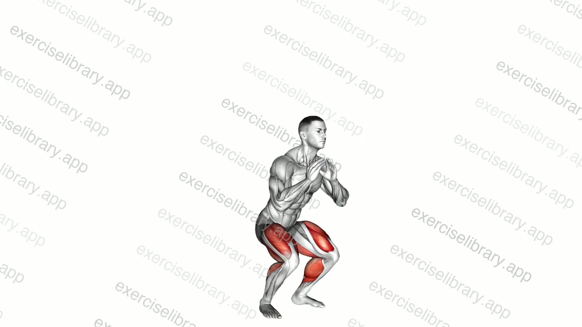 Double Jump Squat demonstration