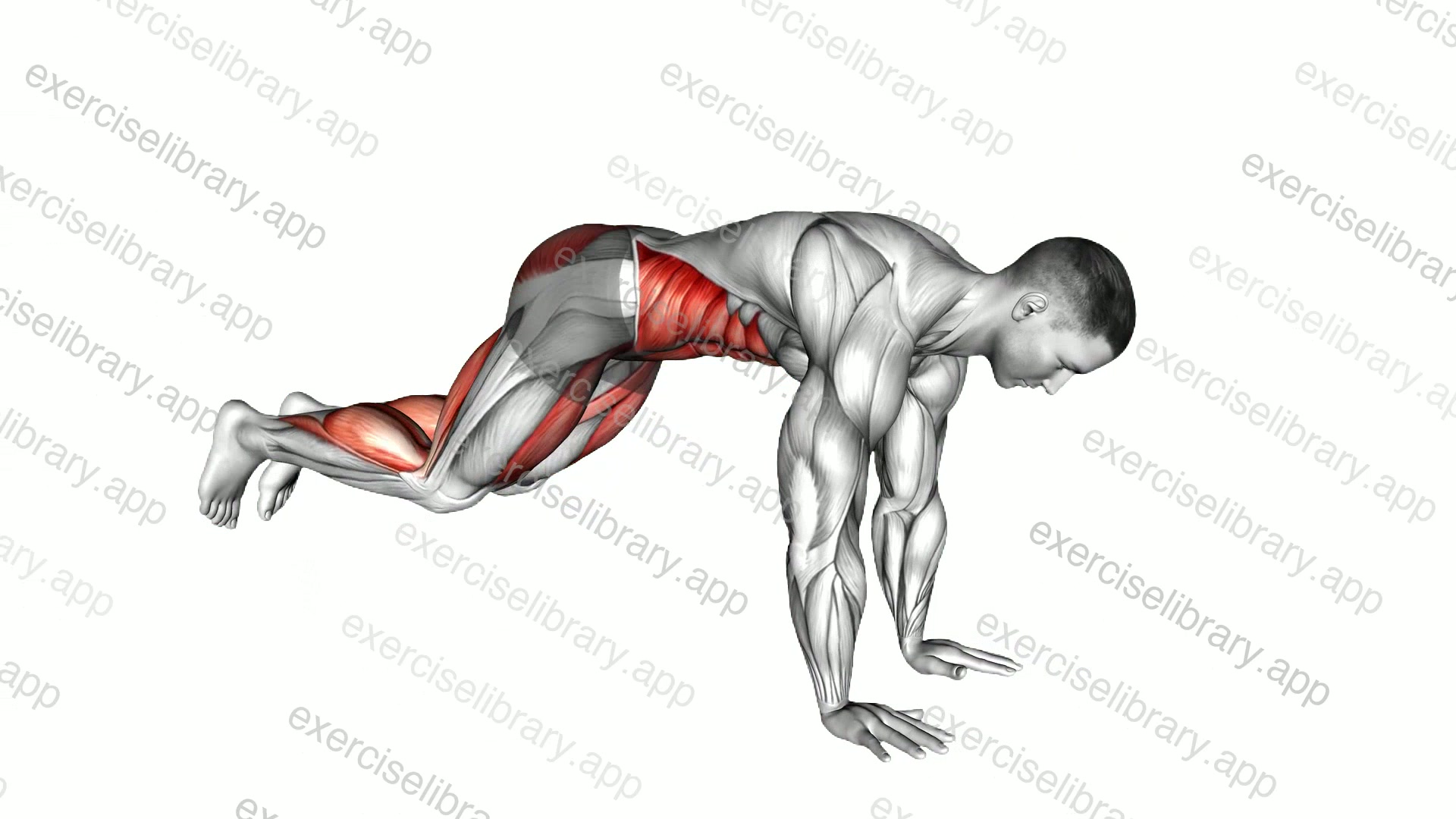 Squat Thrust demonstration
