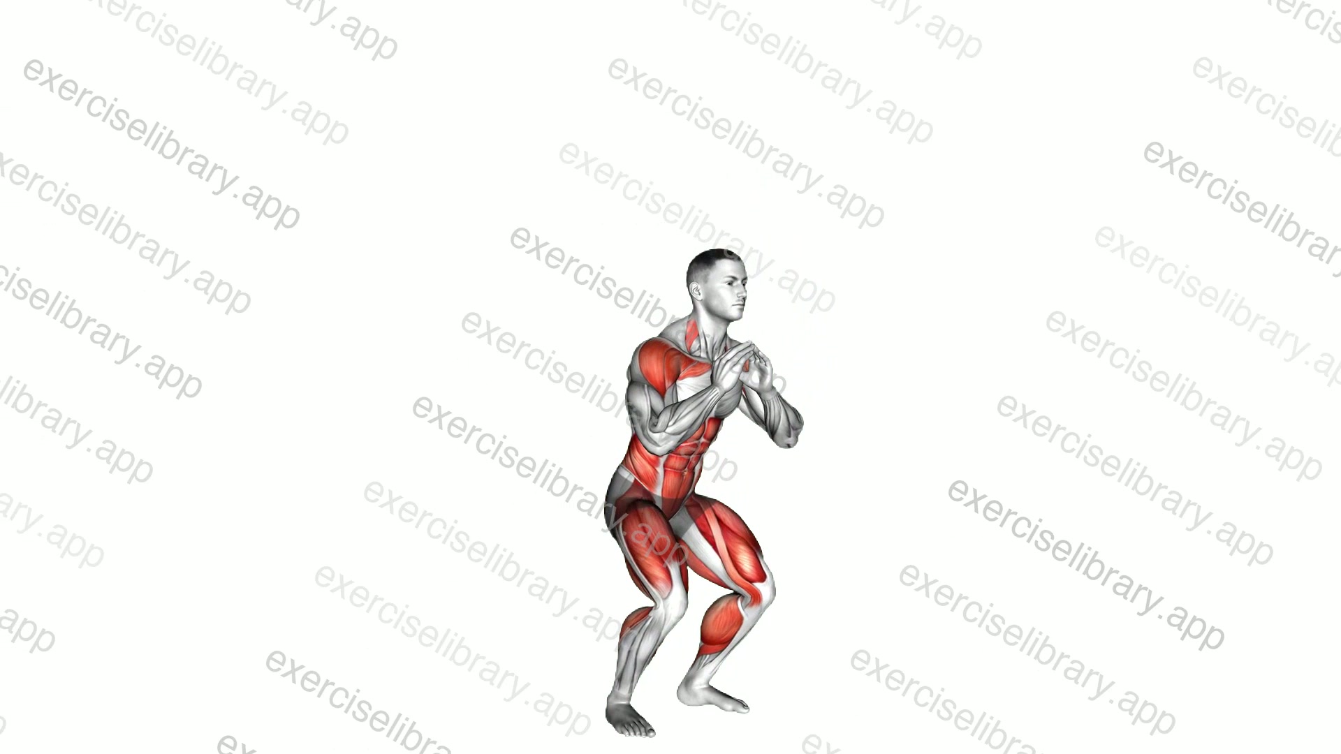 Squat Tuck Jump demonstration