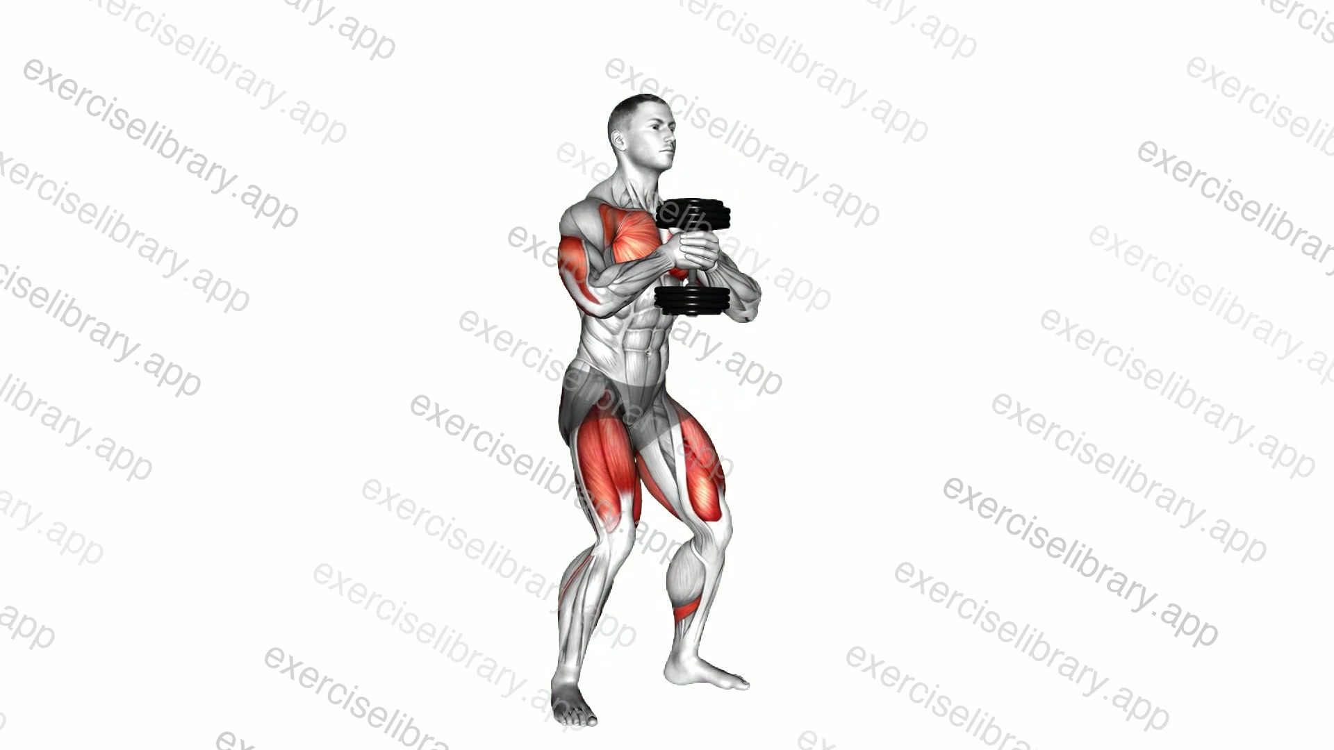 Dumbbell Press Squat demonstration