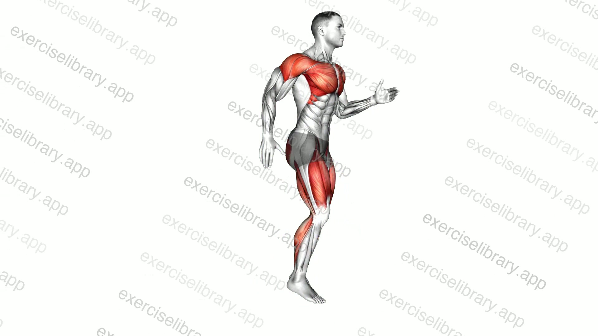Cardio Lunge demonstration