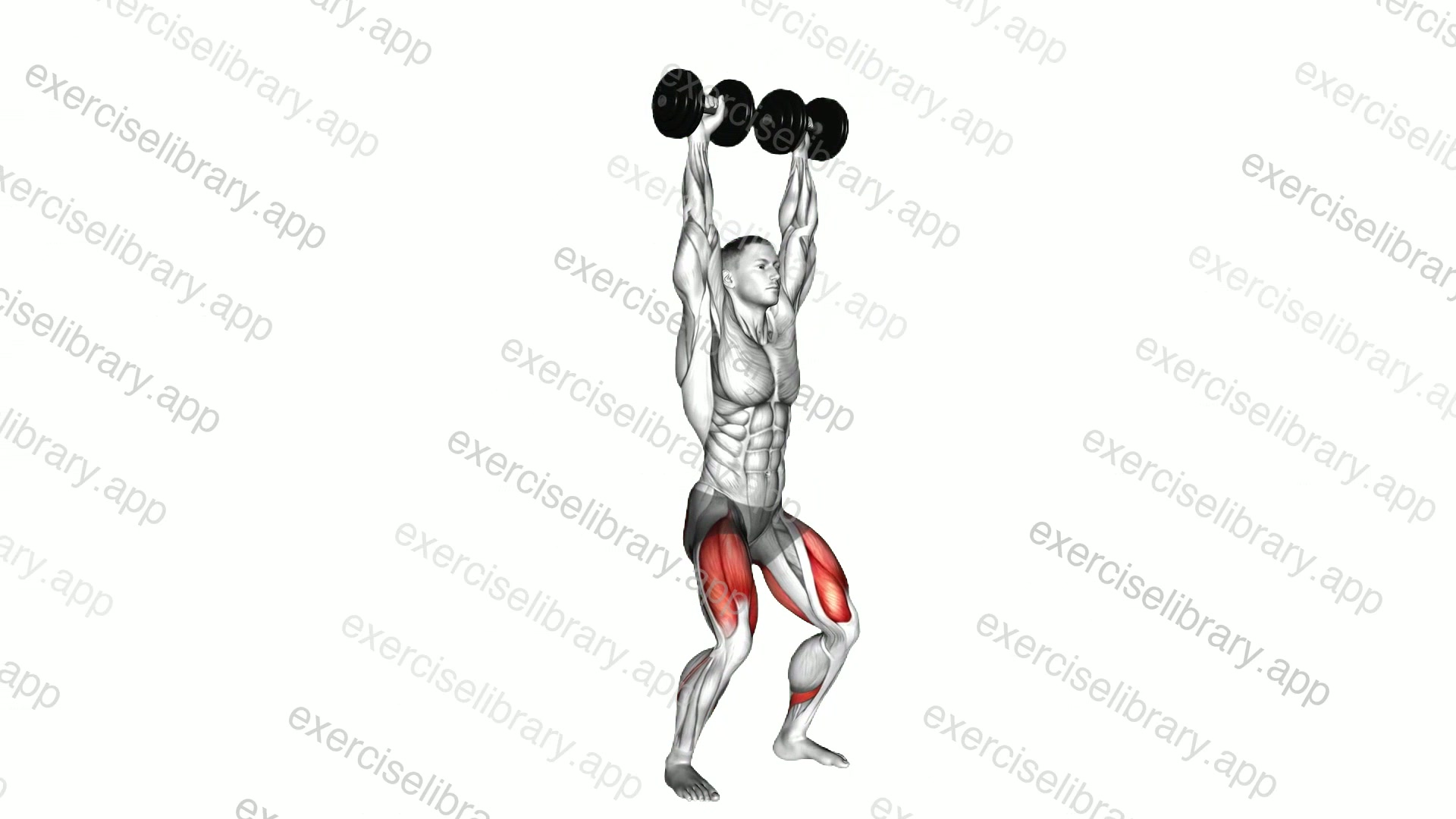 Dumbbell Overhead Squat demonstration