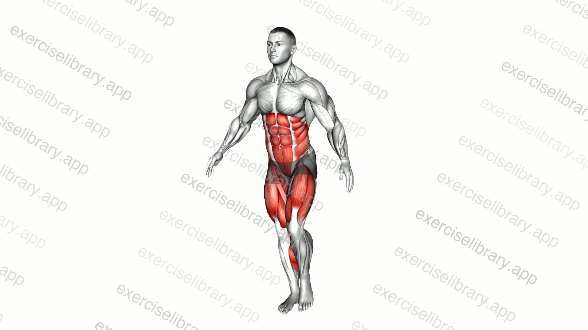 Single Leg Stand demonstration